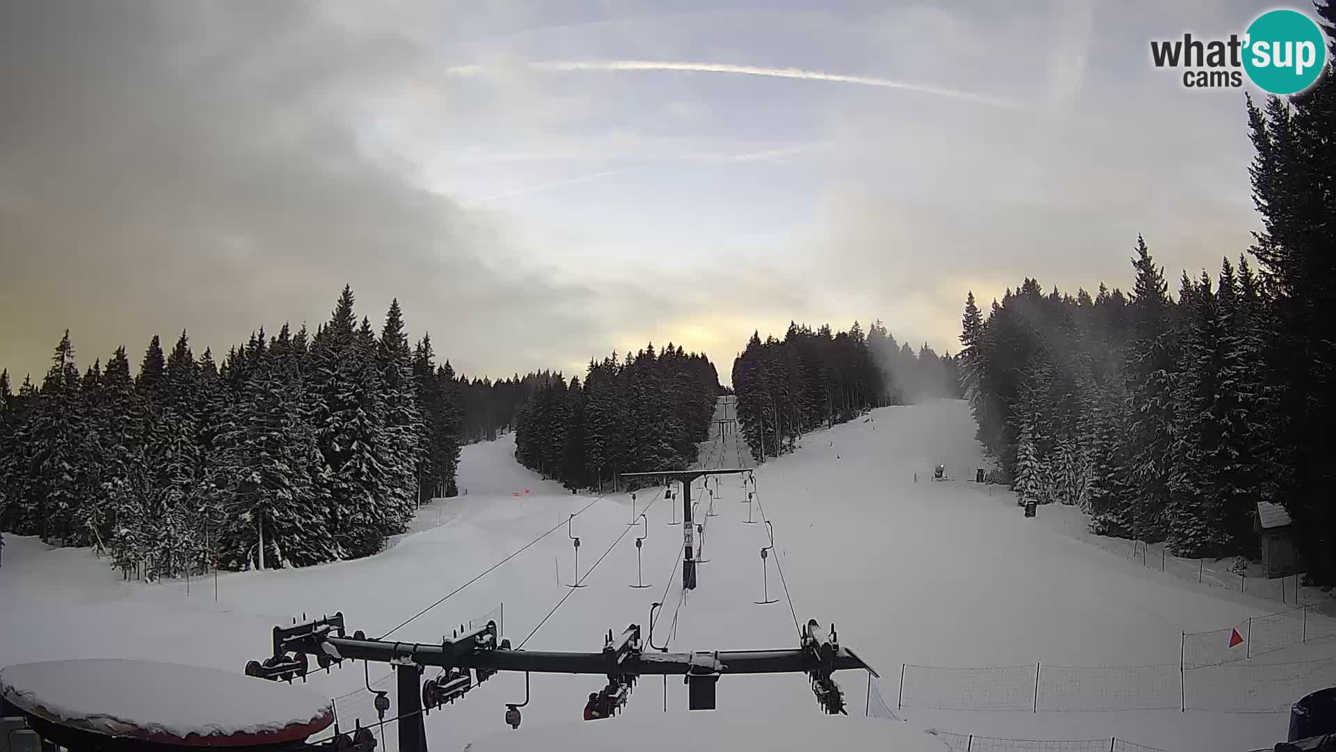 Comprensorio sciistico Rogla Webcam live Ostruščica piste 1 e 2