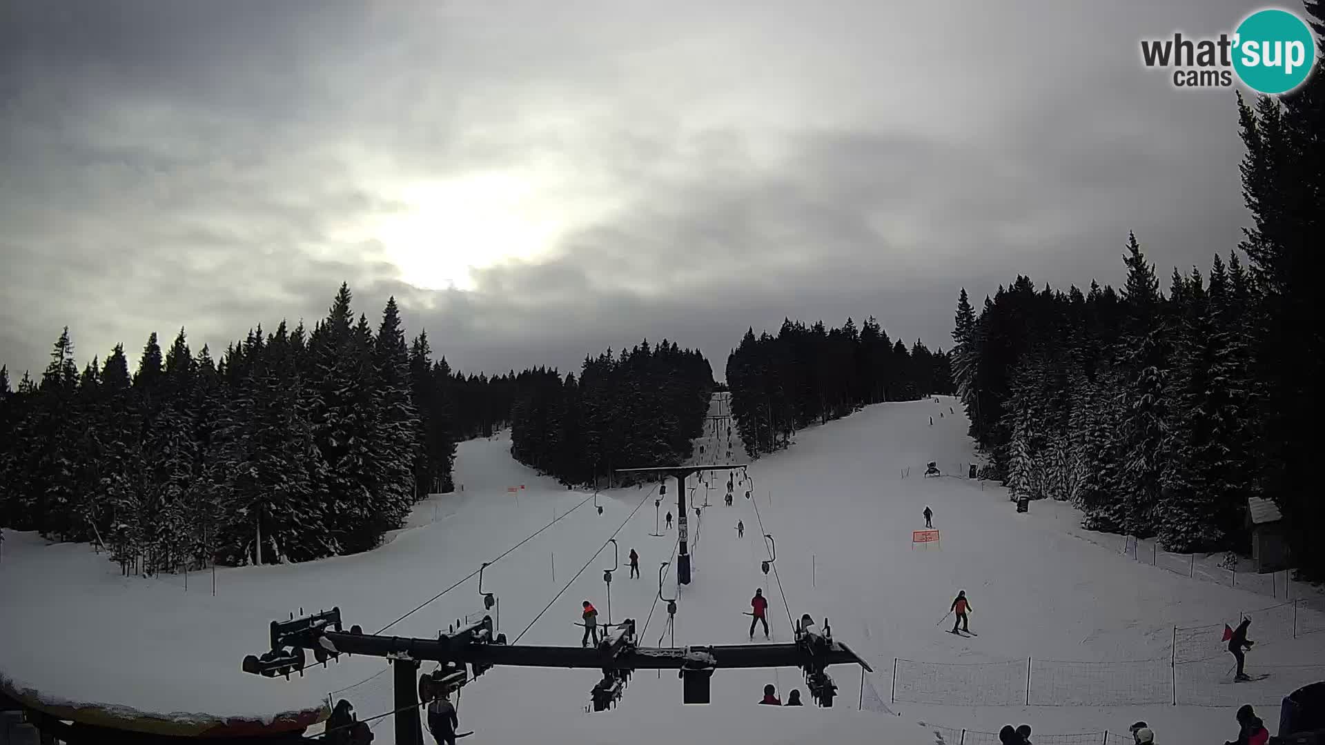 Comprensorio sciistico Rogla Webcam live Ostruščica piste 1 e 2