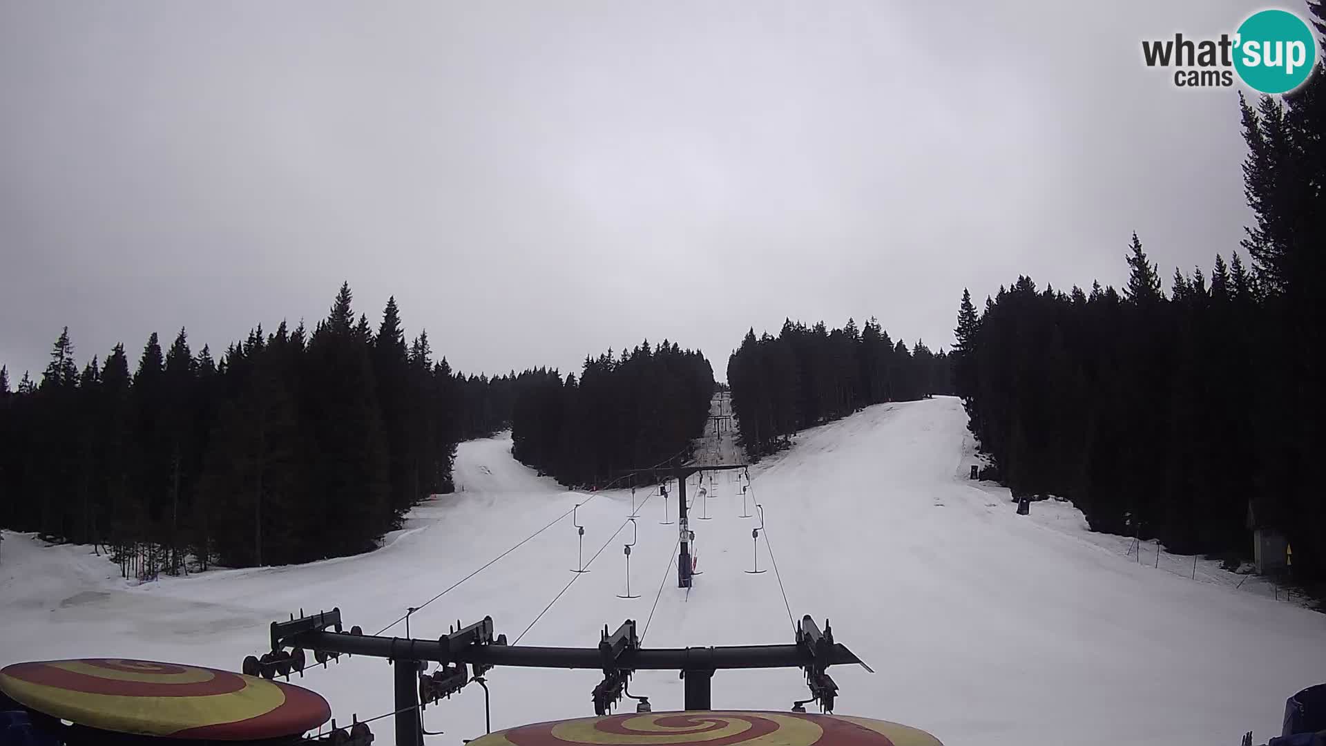 Station de ski Rogla Webcam Ostruščica pistes 1 et 2