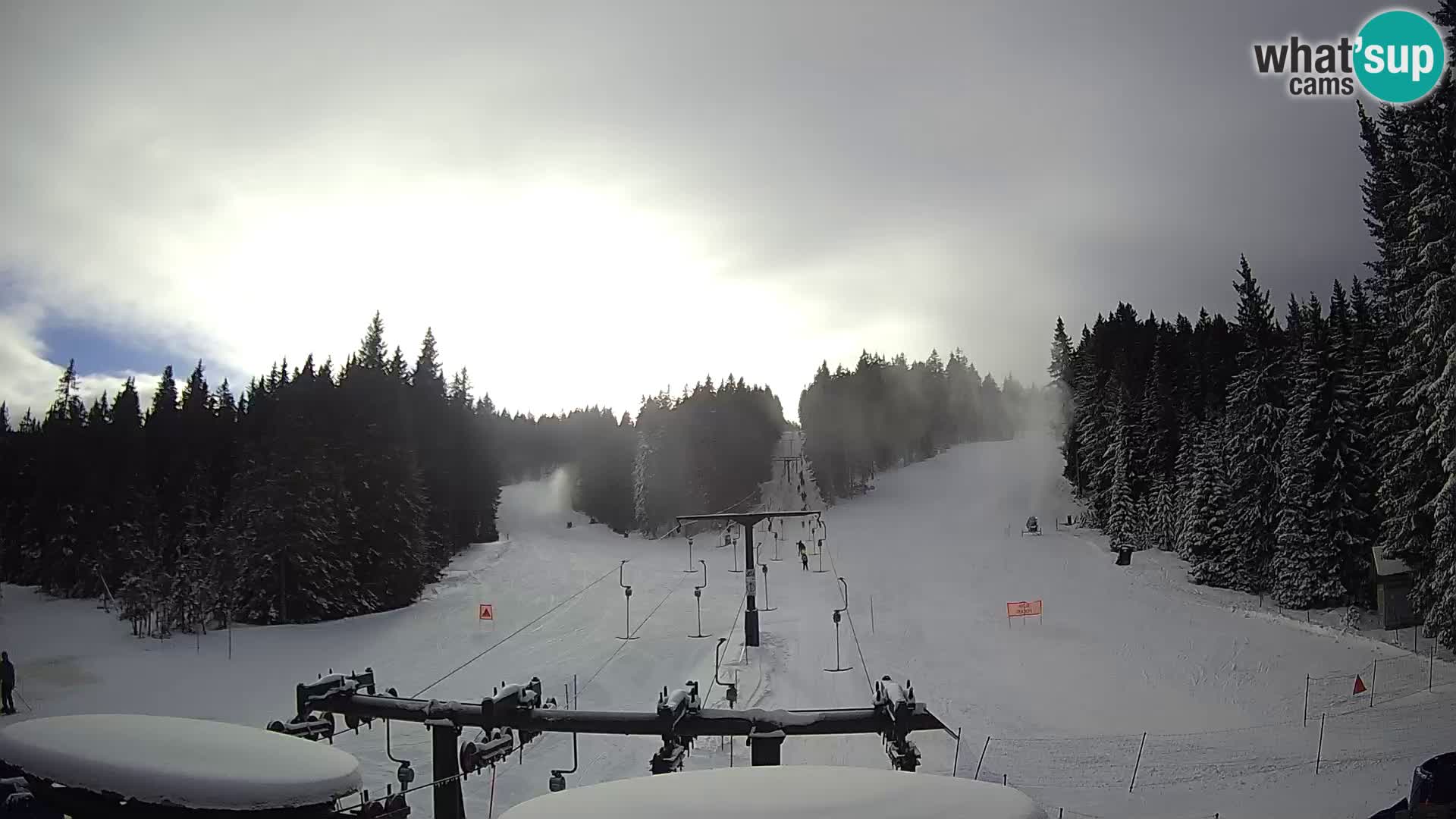 Webcam Live Rogla ski resort – Ostruščica