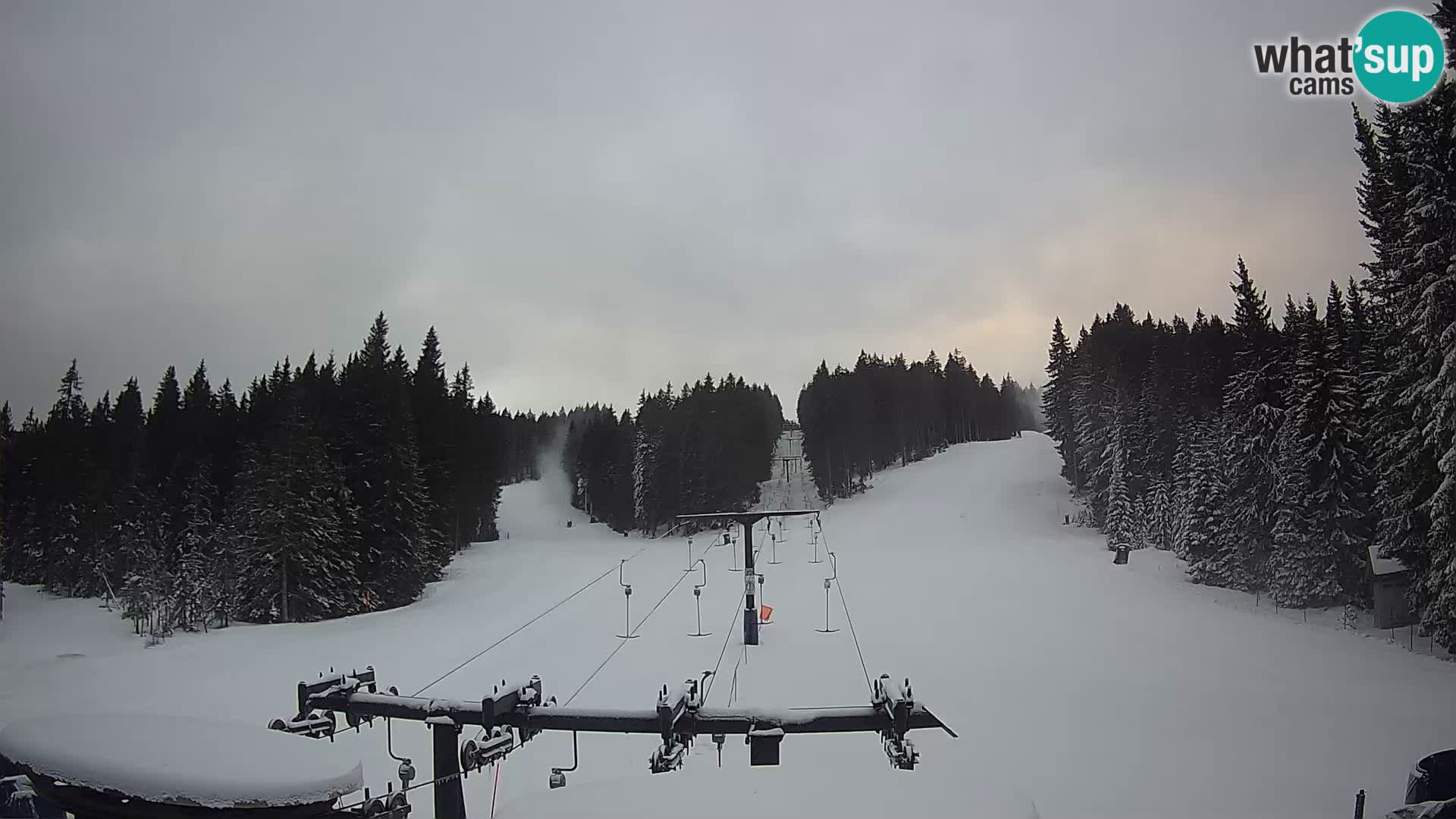 Estación de esquí Rogla Webcam Ostruščica pistas 1 y 2