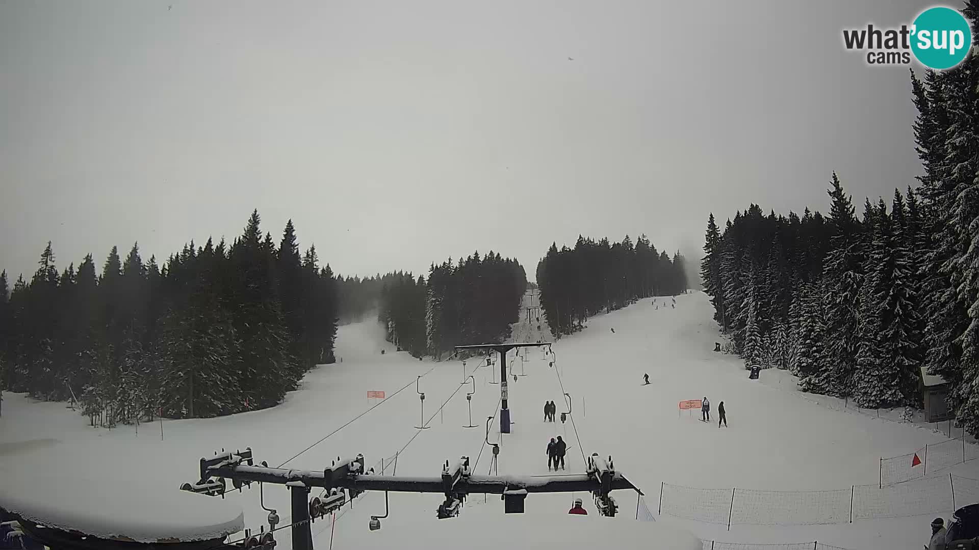 Comprensorio sciistico Rogla Webcam live Ostruščica piste 1 e 2