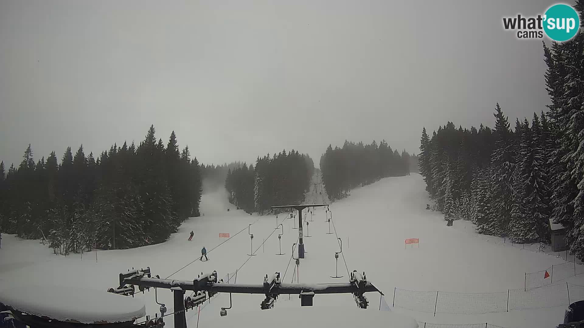 Webcam Live Rogla ski resort – Ostruščica