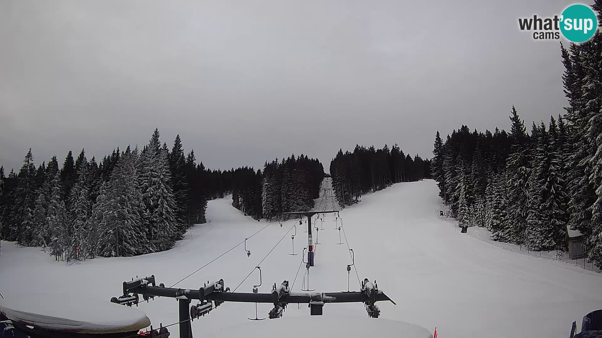 Webcam Live Rogla ski resort – Ostruščica