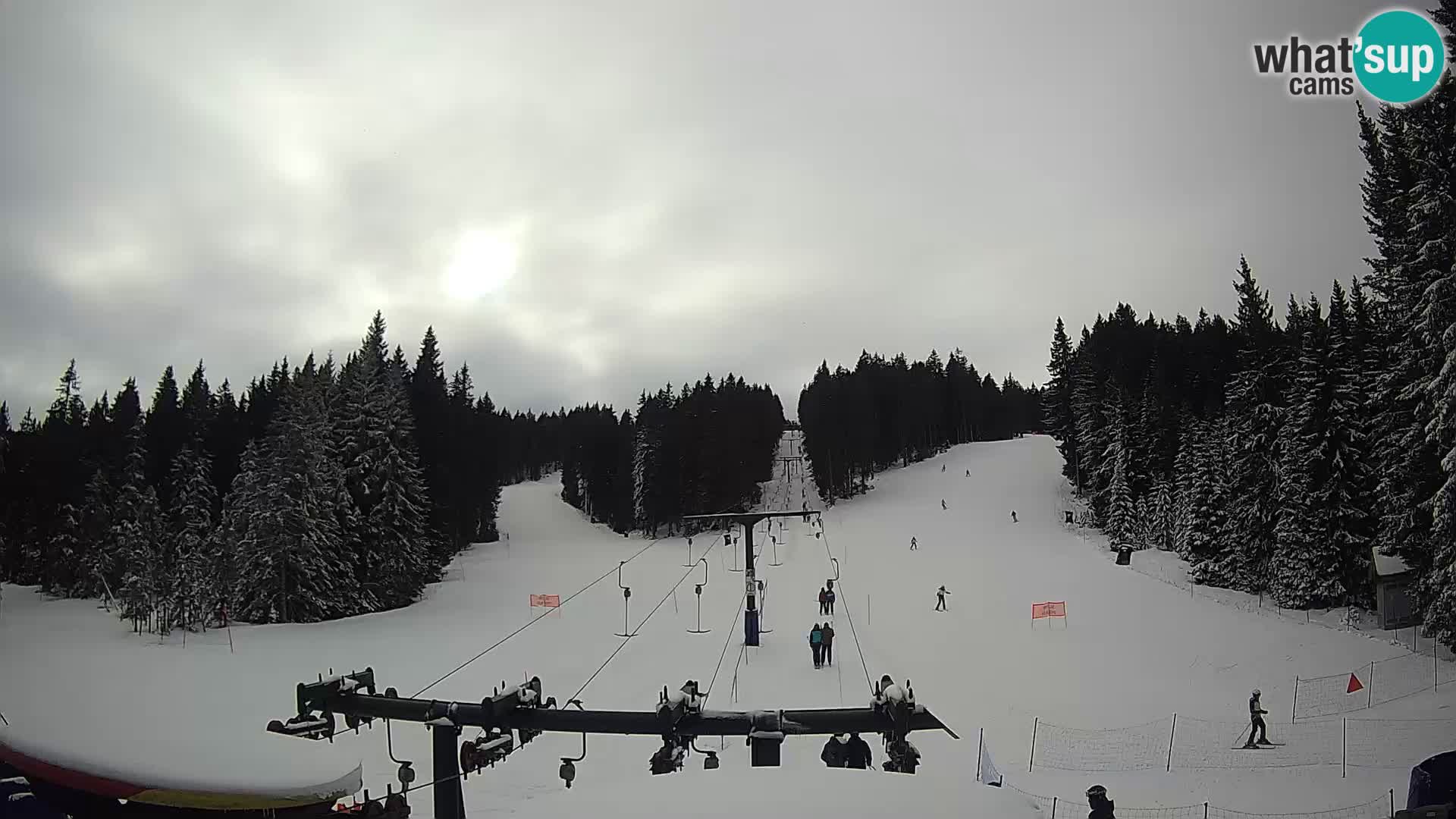 Webcam Live Rogla ski resort – Ostruščica