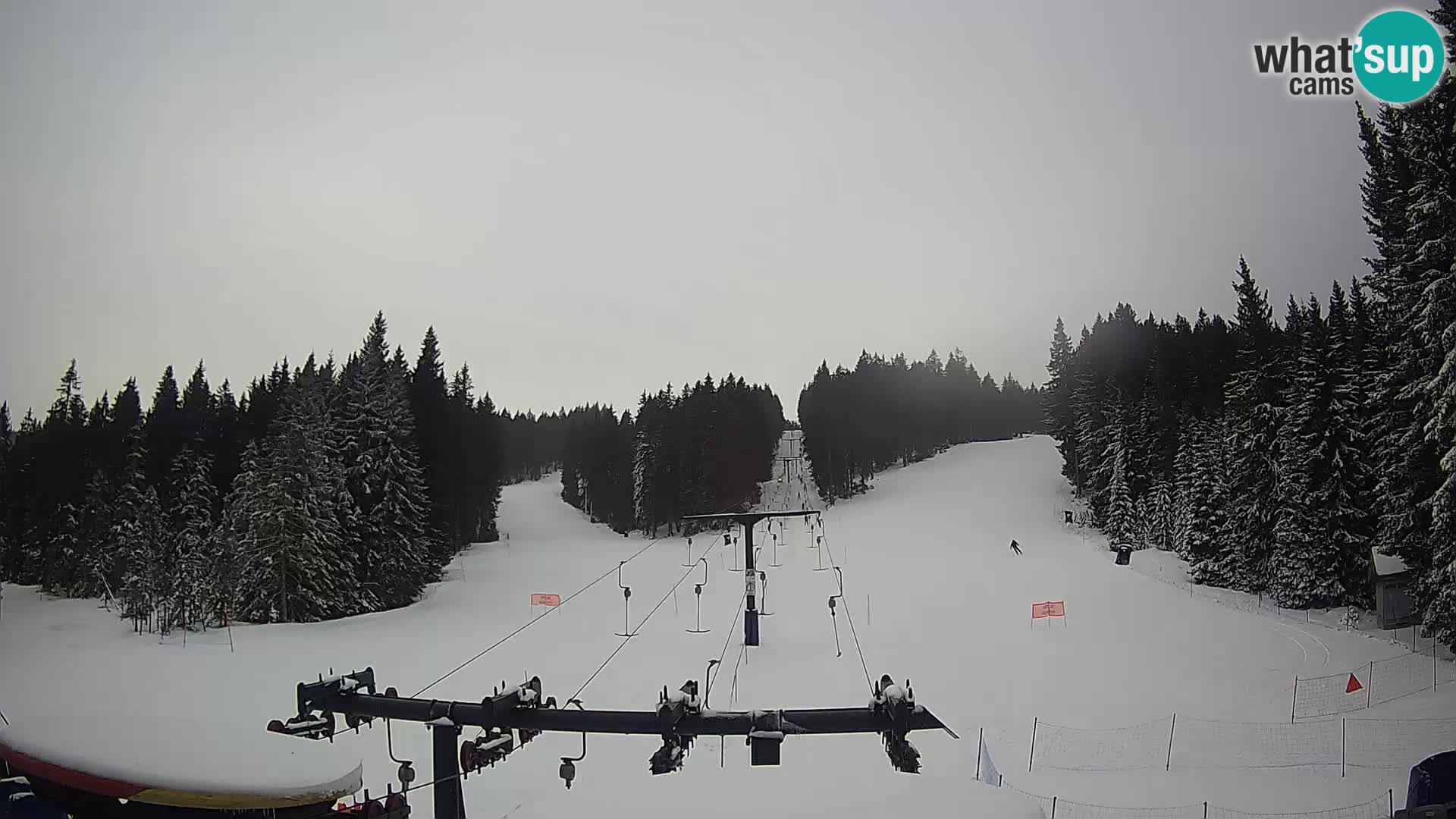 Webcam Live Rogla ski resort – Ostruščica