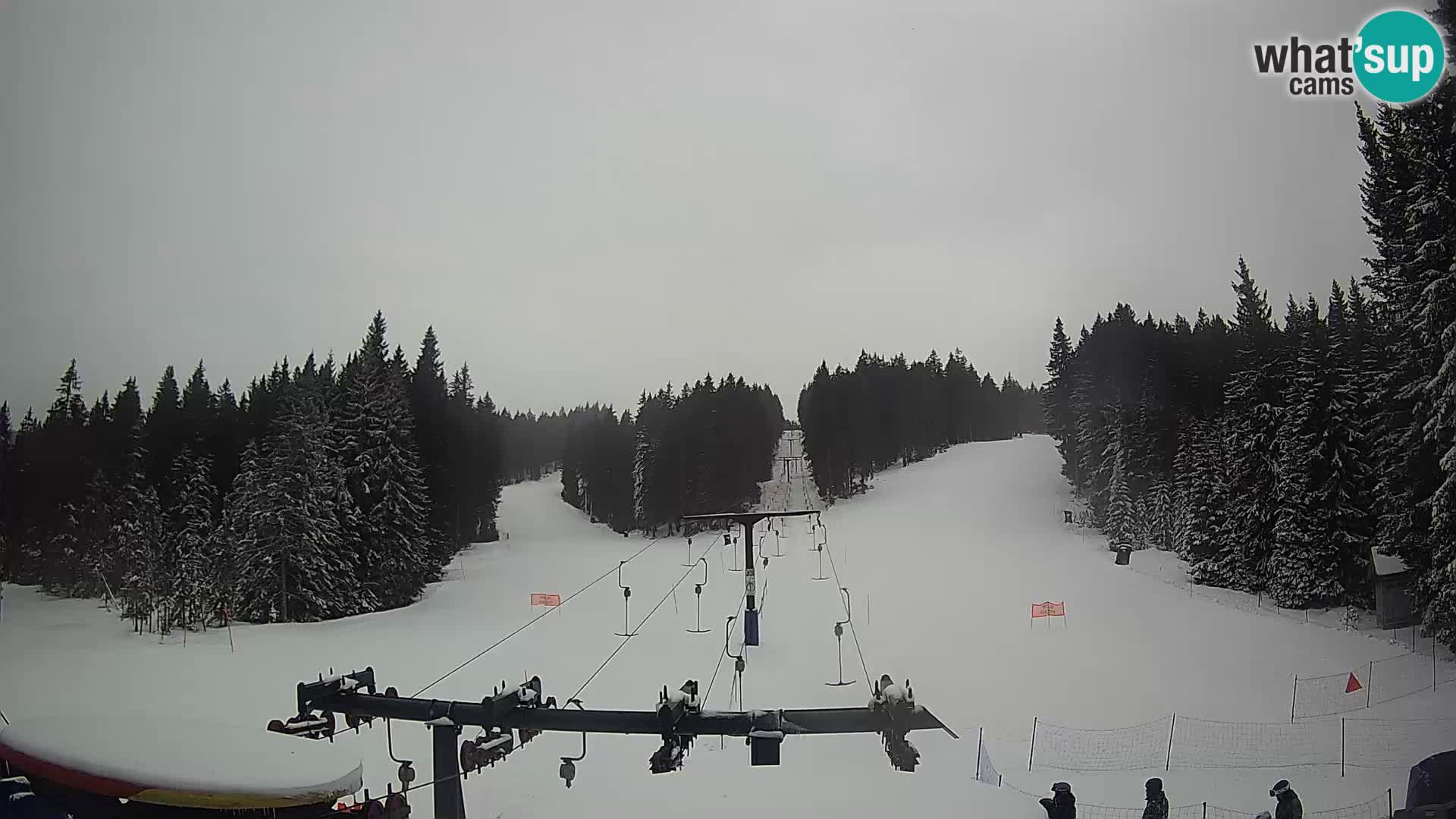 Webcam Live Rogla ski resort – Ostruščica