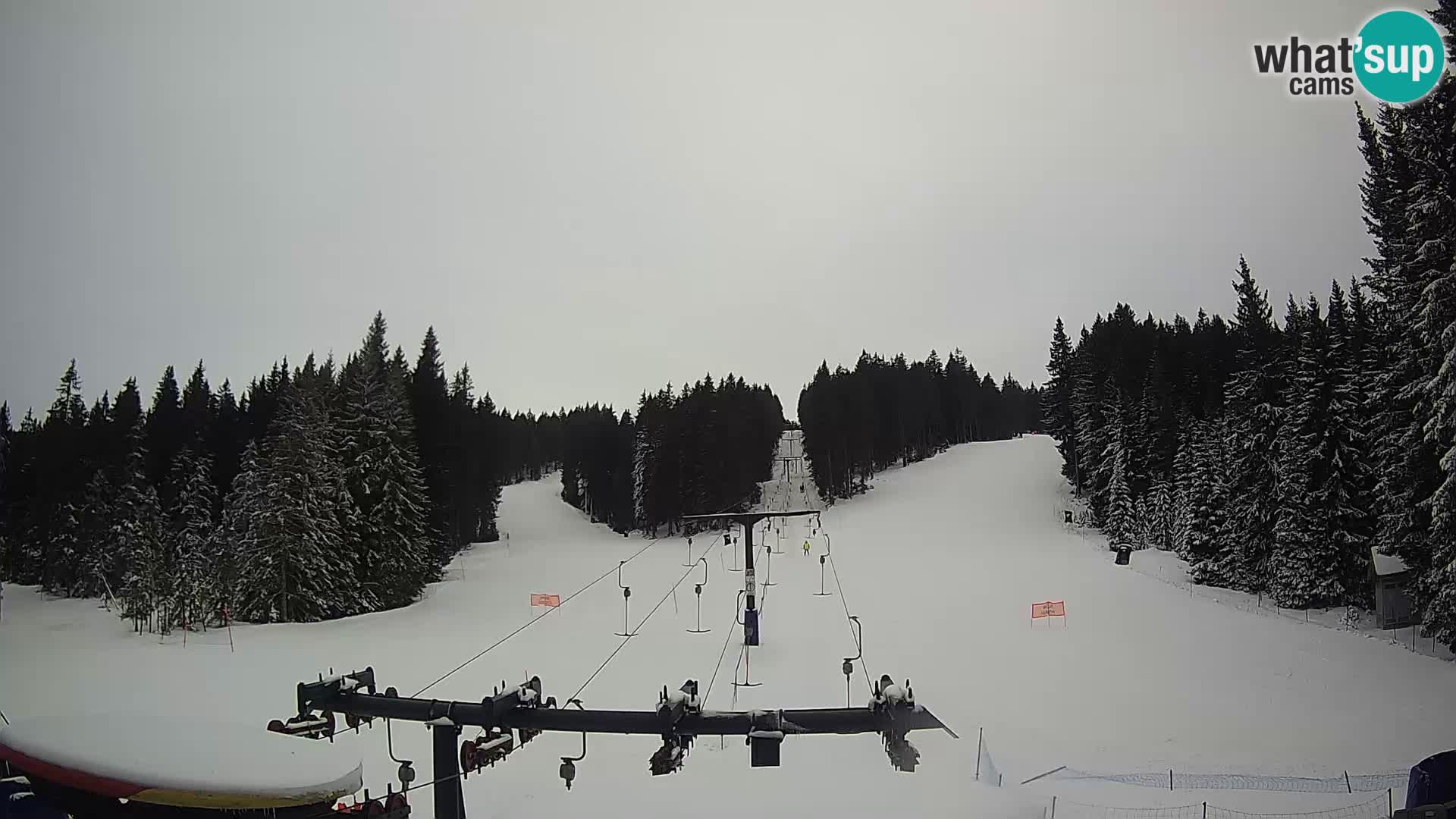 Webcam Live Rogla ski resort – Ostruščica