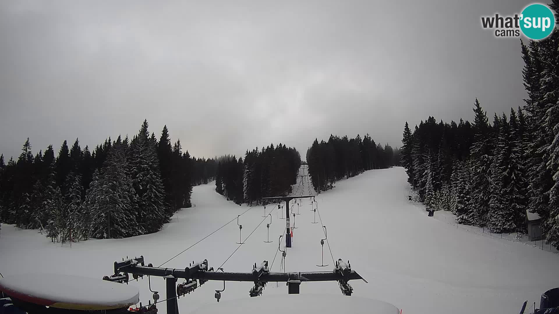 Webcam Live Rogla ski resort – Ostruščica