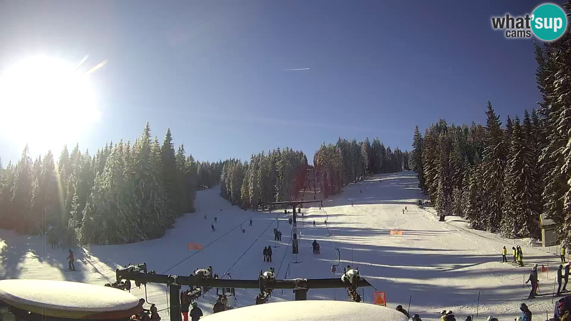 Comprensorio sciistico Rogla Webcam live Ostruščica piste 1 e 2