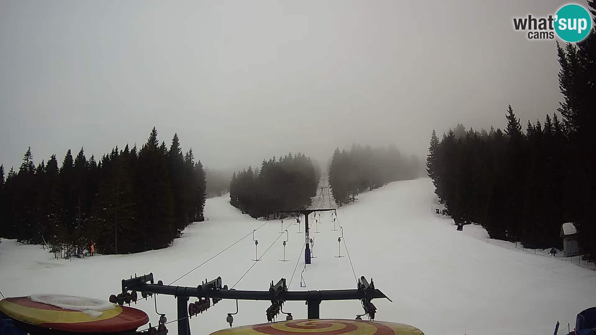 Comprensorio sciistico Rogla Webcam live Ostruščica piste 1 e 2