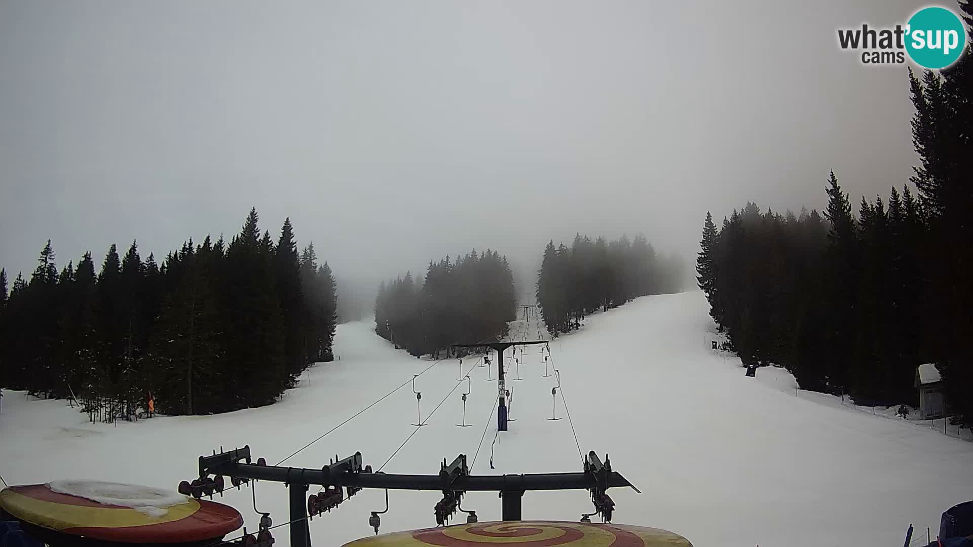 Comprensorio sciistico Rogla Webcam live Ostruščica piste 1 e 2