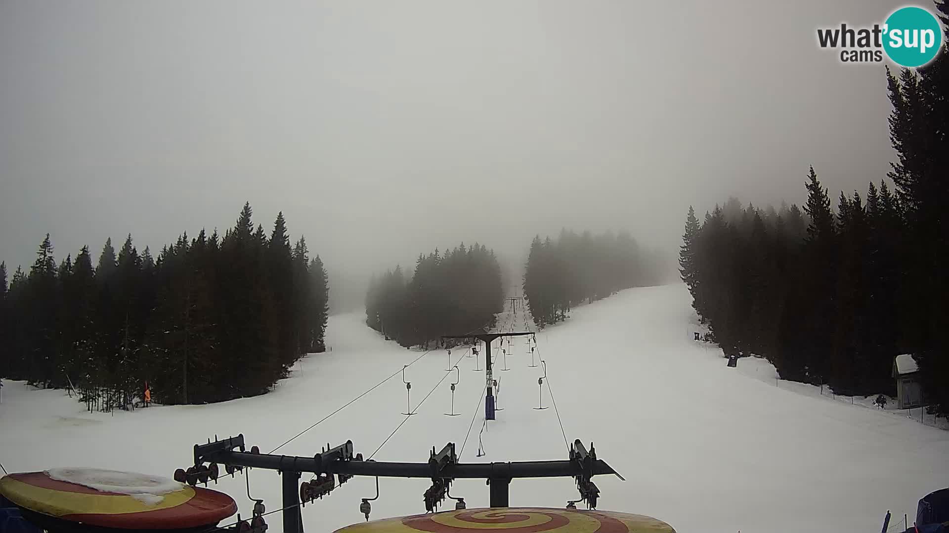 Webcam Live Rogla ski resort – Ostruščica