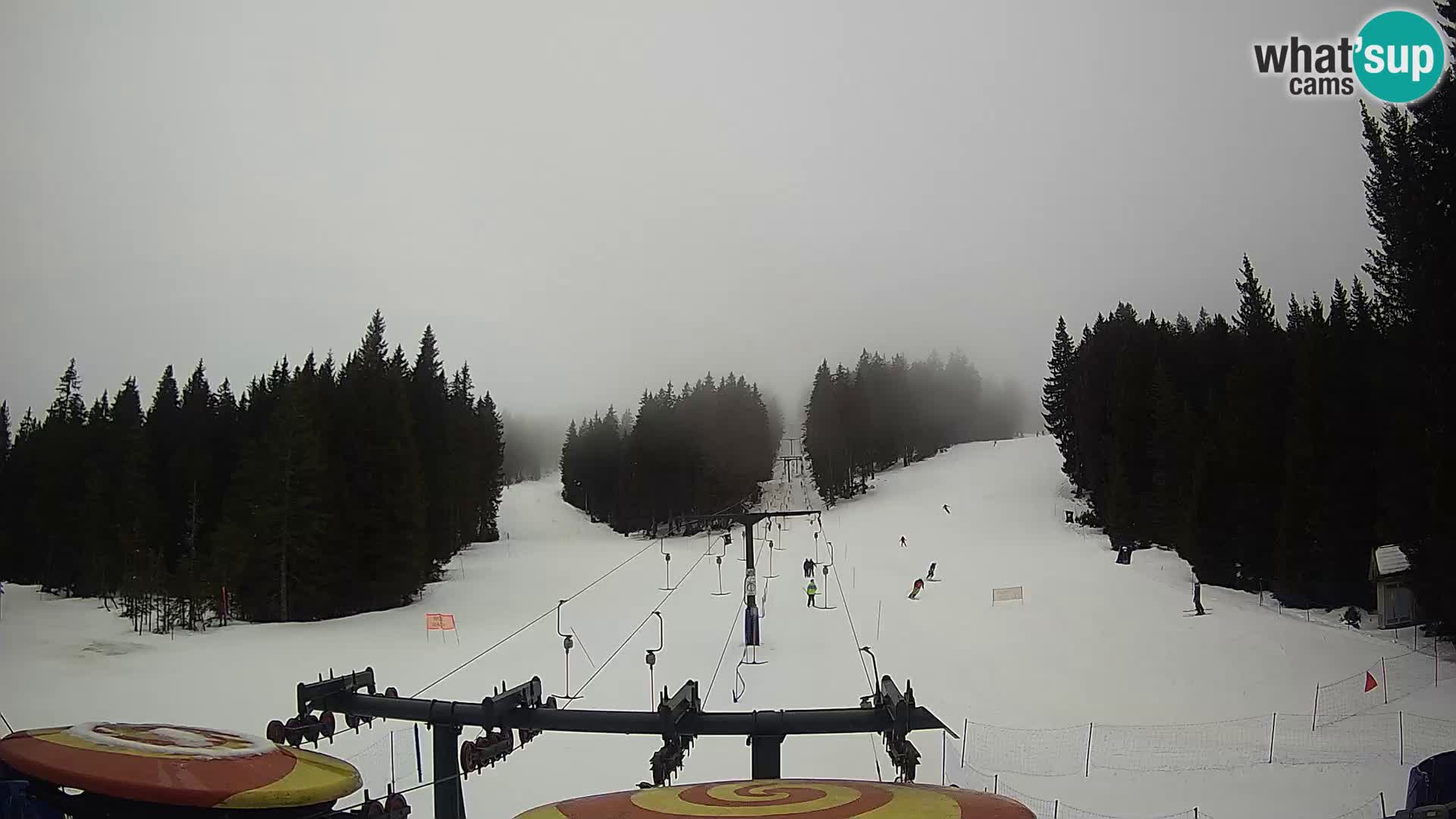 Comprensorio sciistico Rogla Webcam live Ostruščica piste 1 e 2