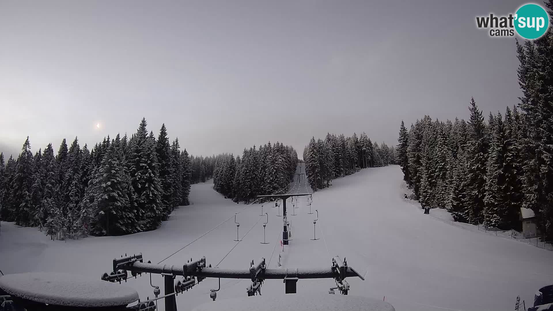 Comprensorio sciistico Rogla Webcam live Ostruščica piste 1 e 2