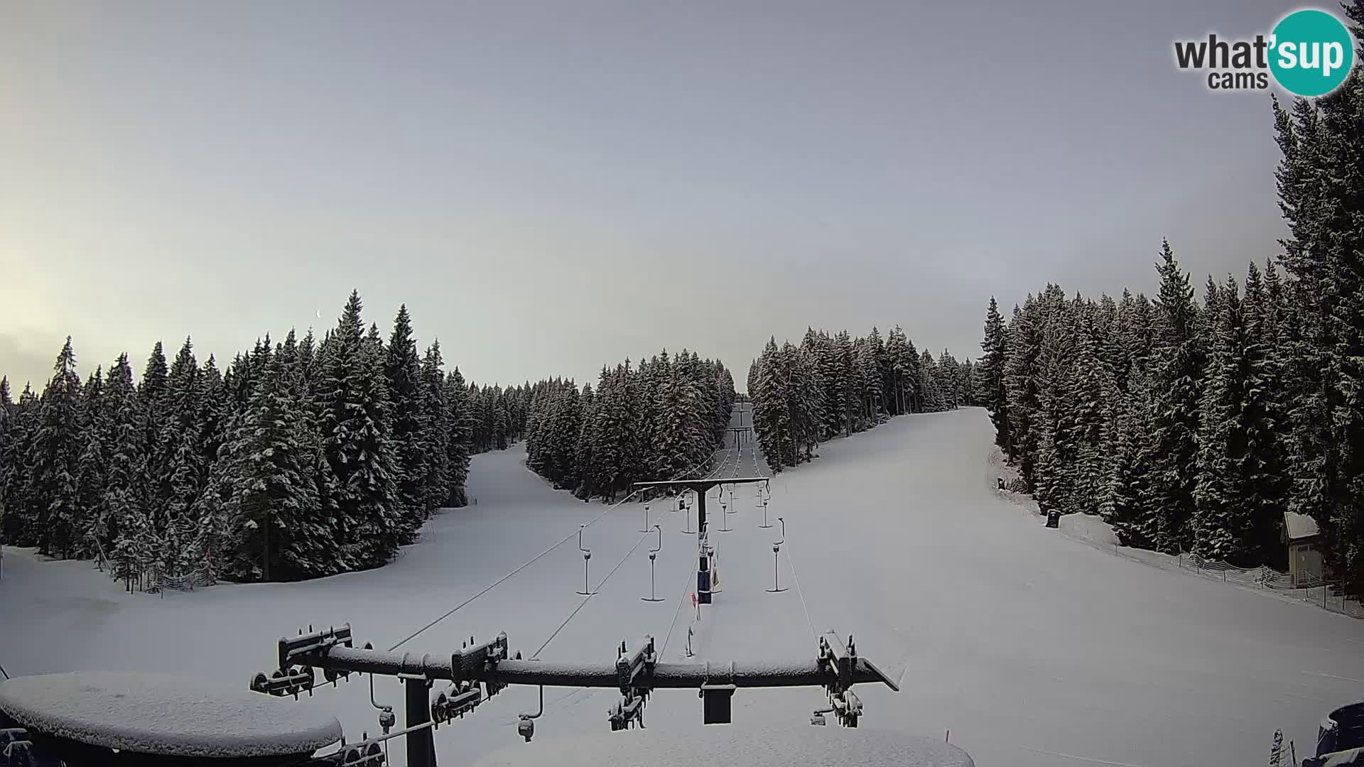 Estación de esquí Rogla Webcam Ostruščica pistas 1 y 2