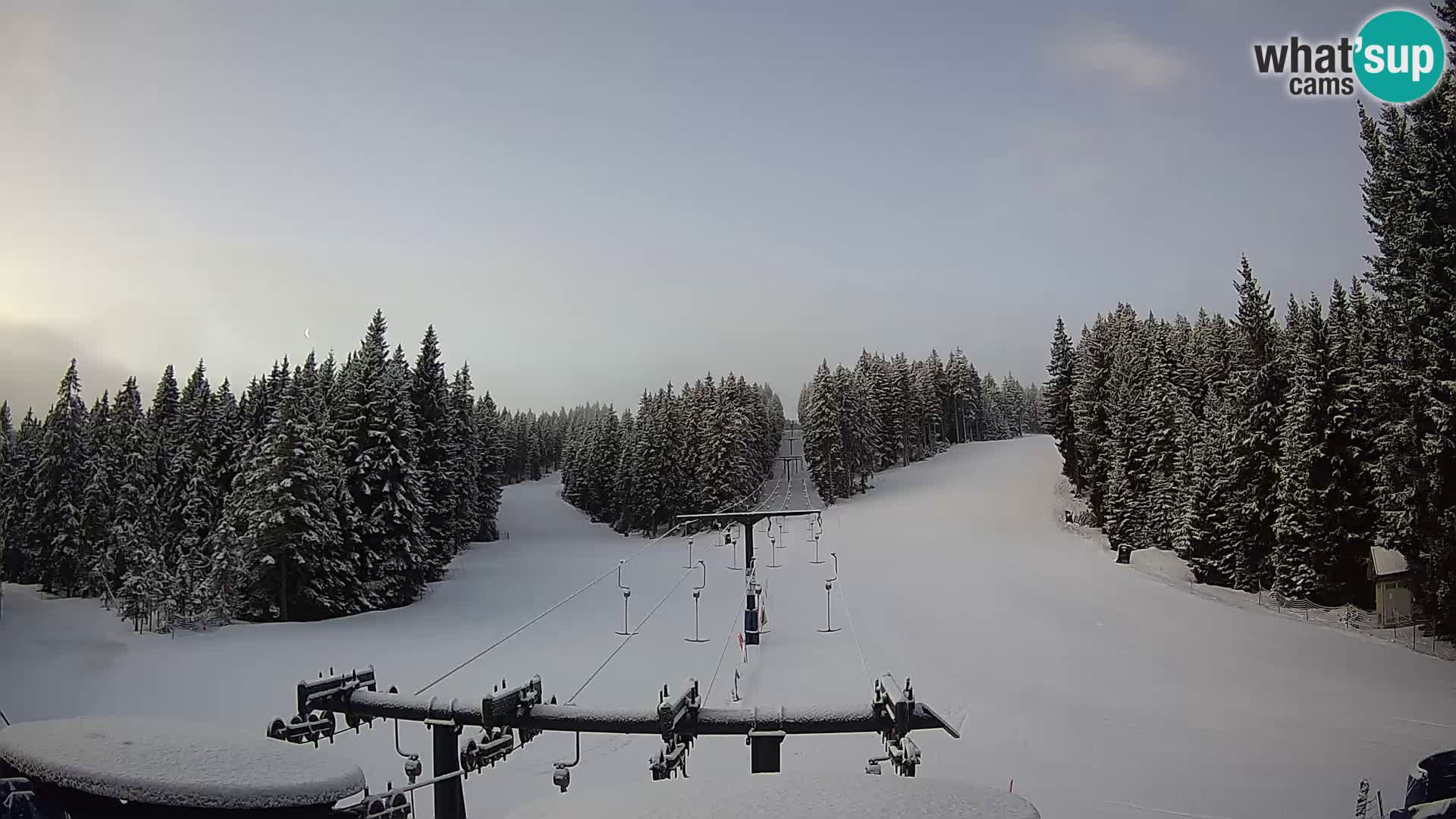 Comprensorio sciistico Rogla Webcam live Ostruščica piste 1 e 2