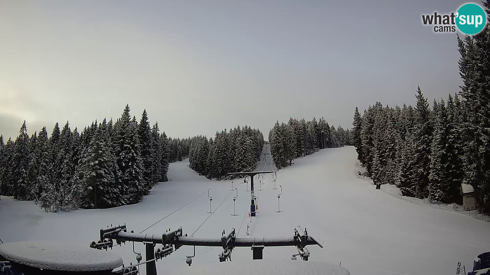 Station de ski Rogla Webcam Ostruščica pistes 1 et 2