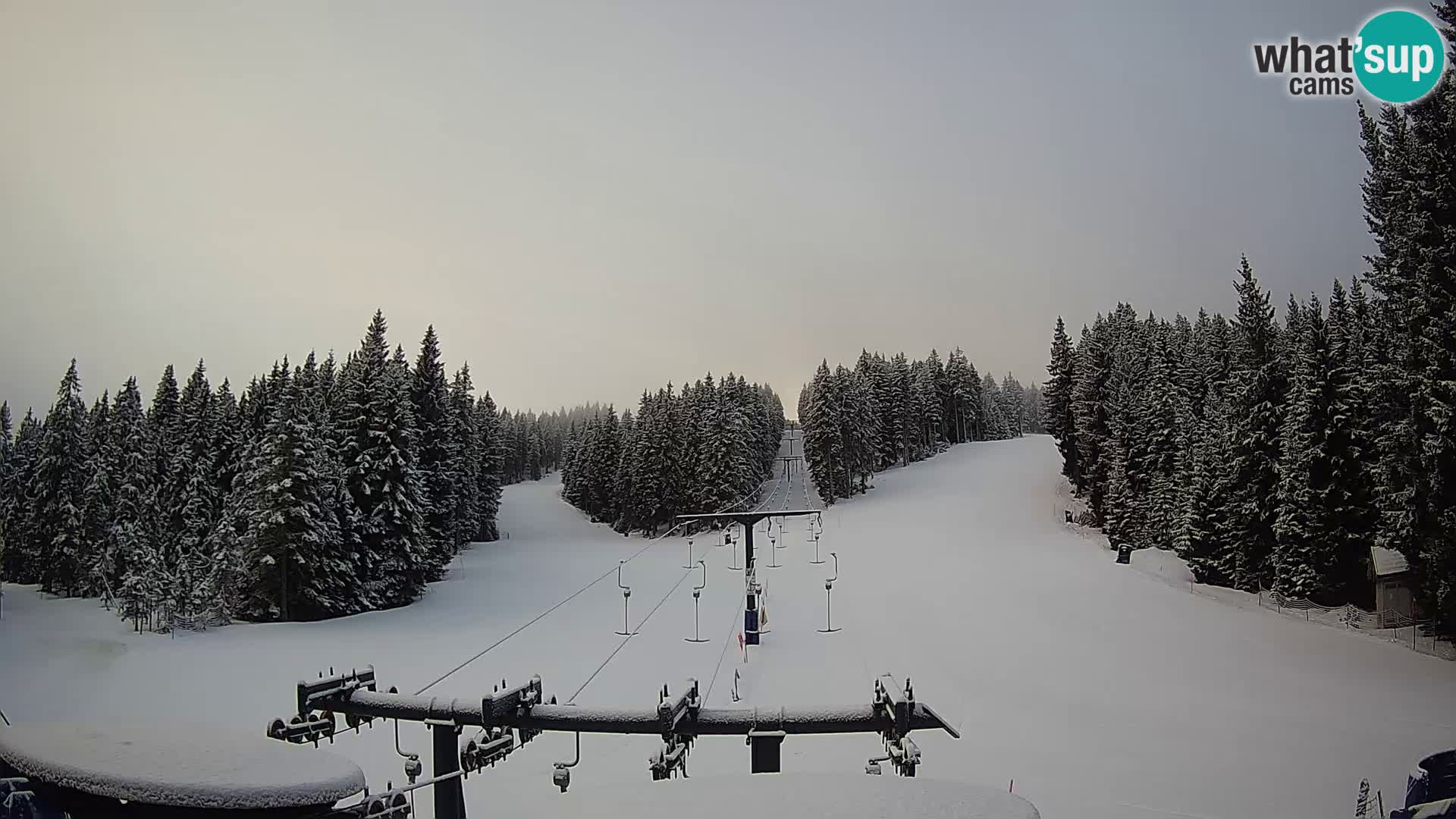 Webcam Live Rogla ski resort – Ostruščica