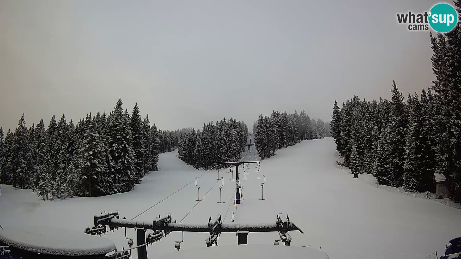 Estación de esquí Rogla Webcam Ostruščica pistas 1 y 2