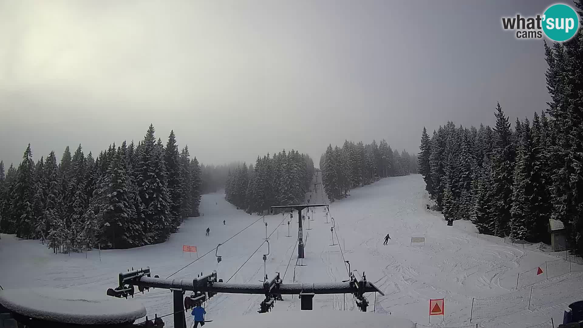 Estación de esquí Rogla Webcam Ostruščica pistas 1 y 2