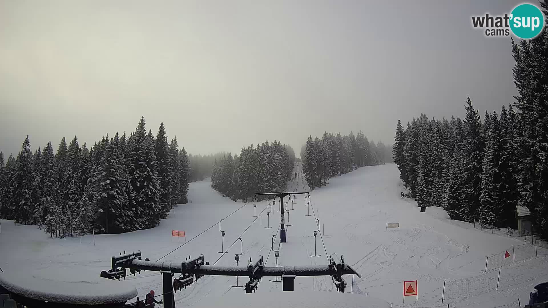 Comprensorio sciistico Rogla Webcam live Ostruščica piste 1 e 2