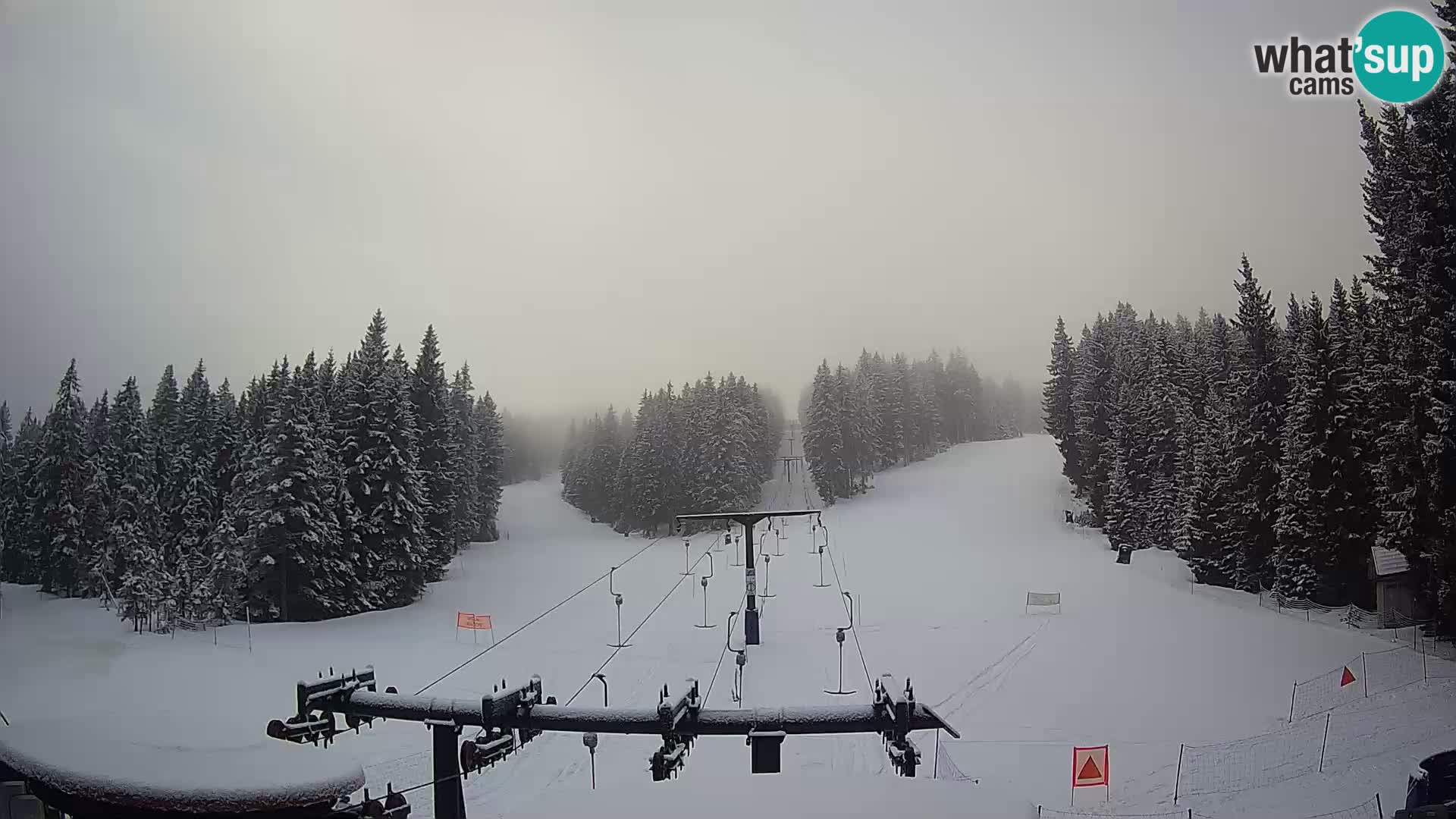 Webcam Live Rogla ski resort – Ostruščica