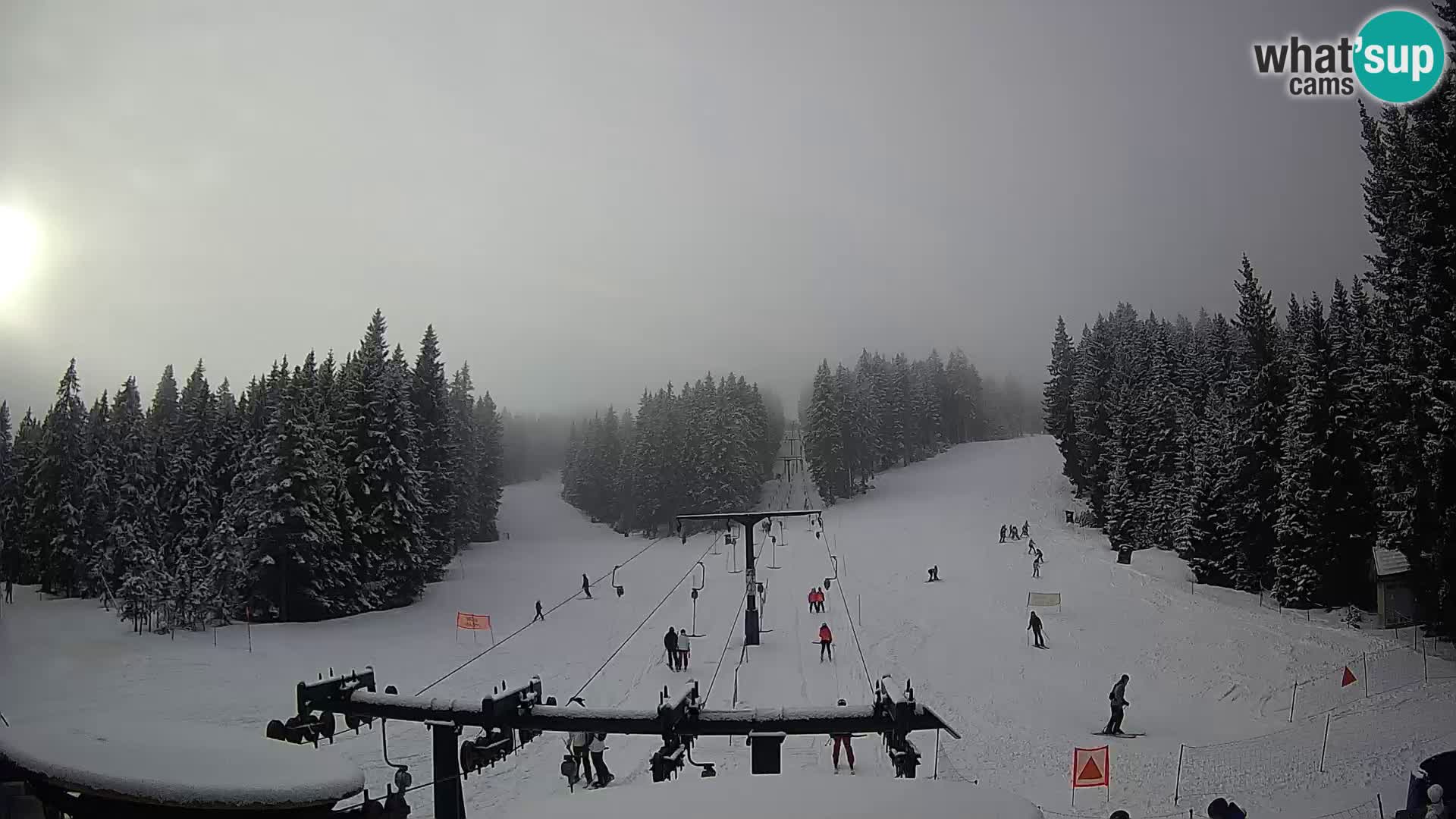 Comprensorio sciistico Rogla Webcam live Ostruščica piste 1 e 2