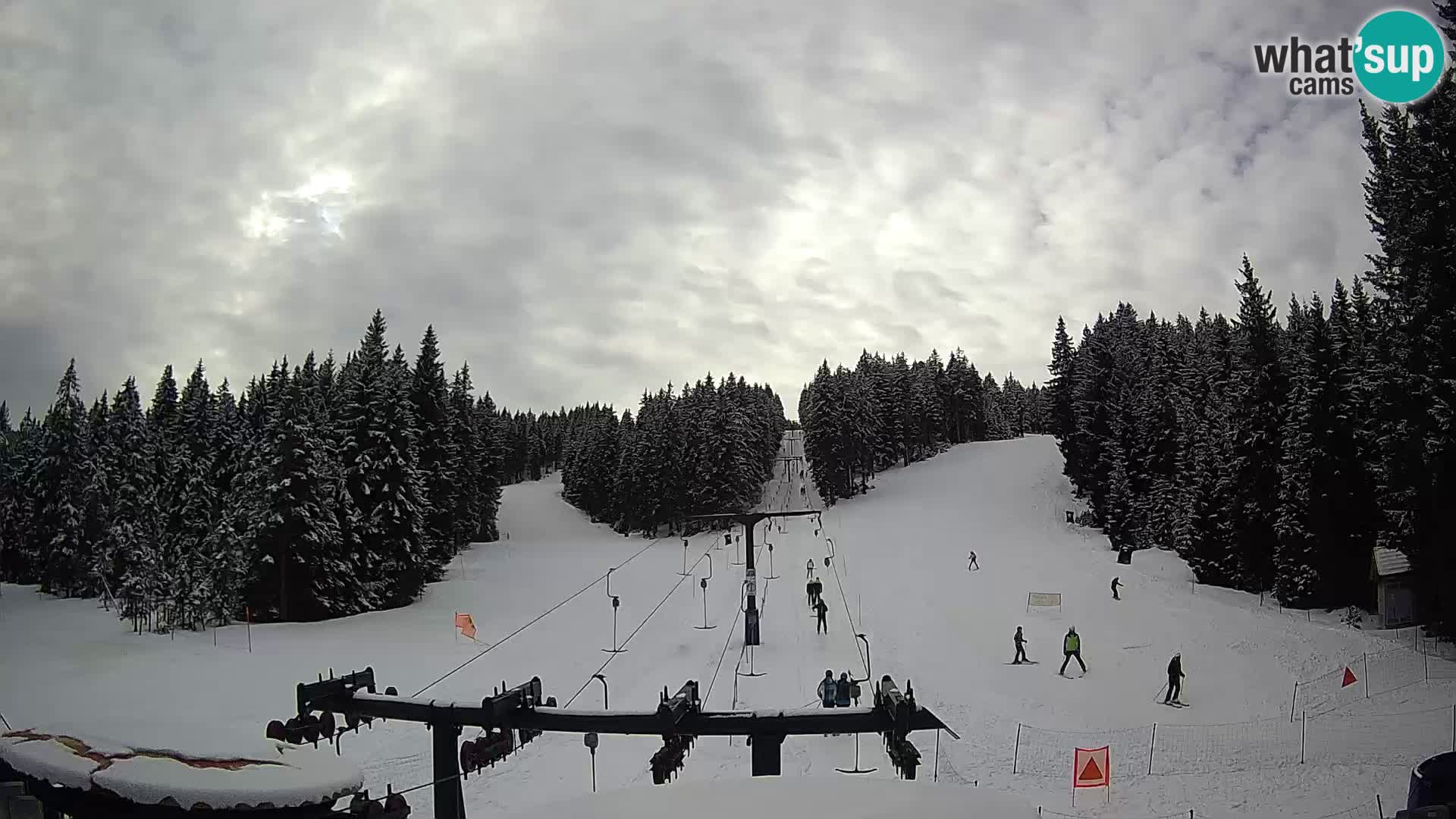 Station de ski Rogla Webcam Ostruščica pistes 1 et 2