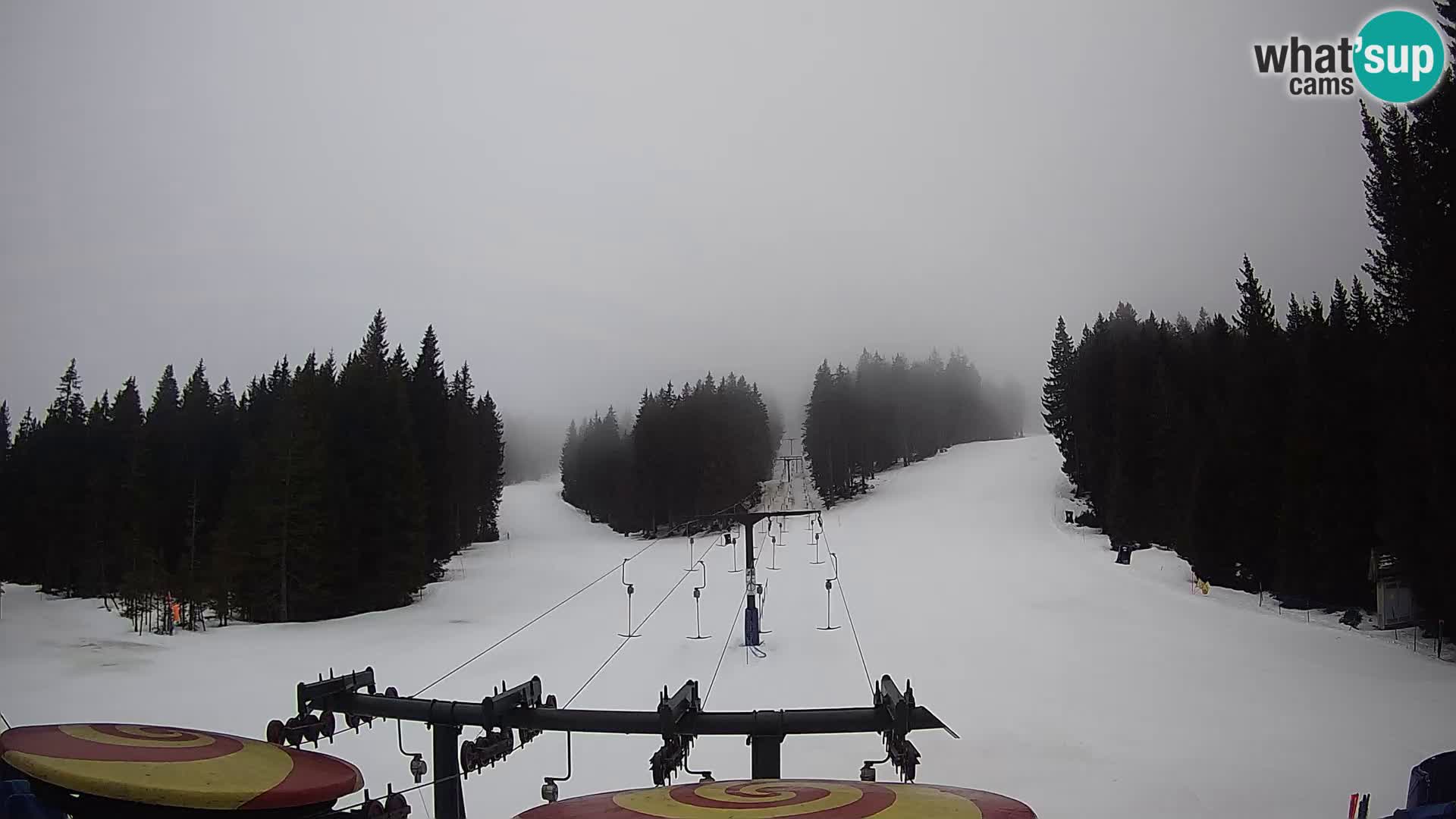 Webcam Live Rogla ski resort – Ostruščica