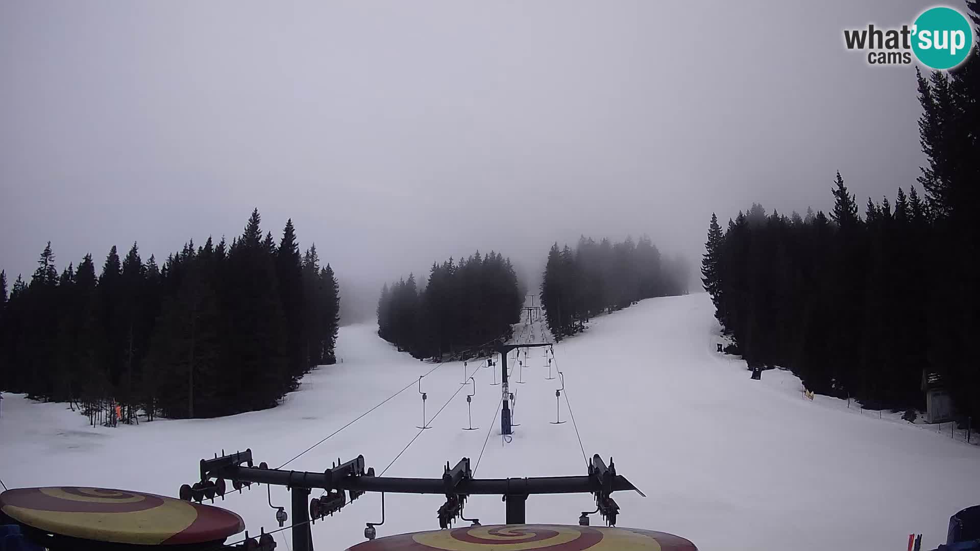 Station de ski Rogla Webcam Ostruščica pistes 1 et 2