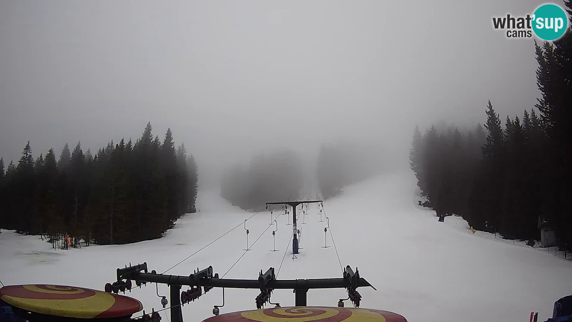 Webcam Live Rogla ski resort – Ostruščica