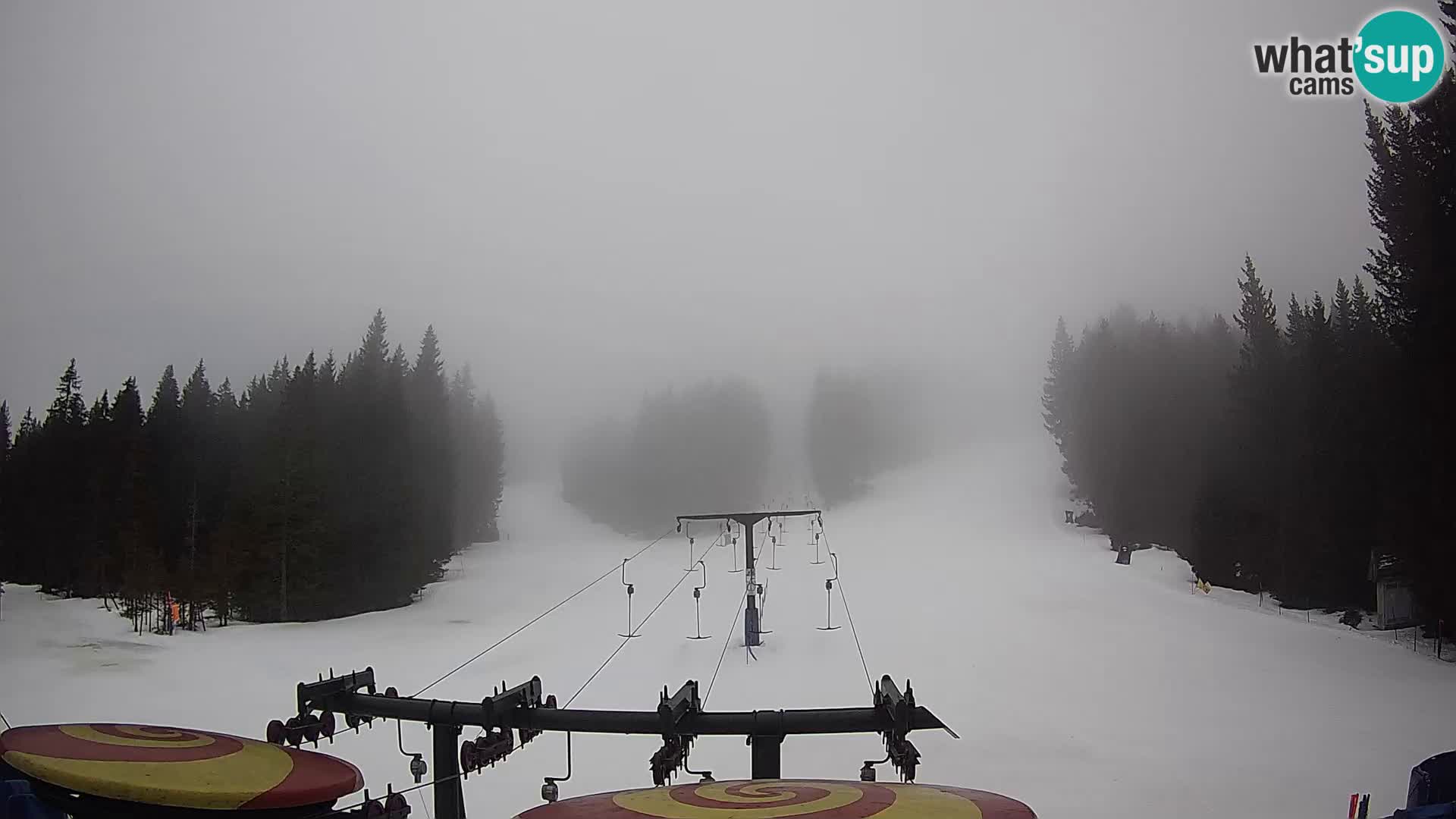 Webcam Live Rogla ski resort – Ostruščica