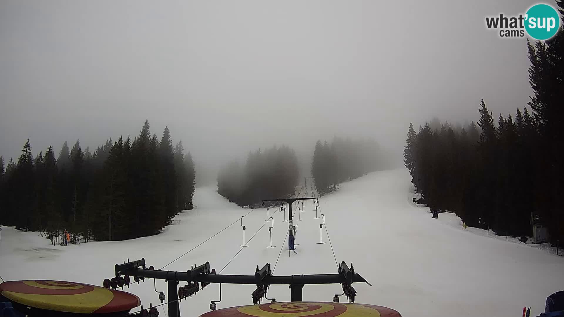 Estación de esquí Rogla Webcam Ostruščica pistas 1 y 2