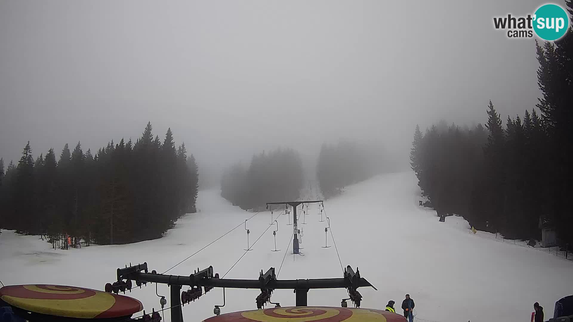 Comprensorio sciistico Rogla Webcam live Ostruščica piste 1 e 2