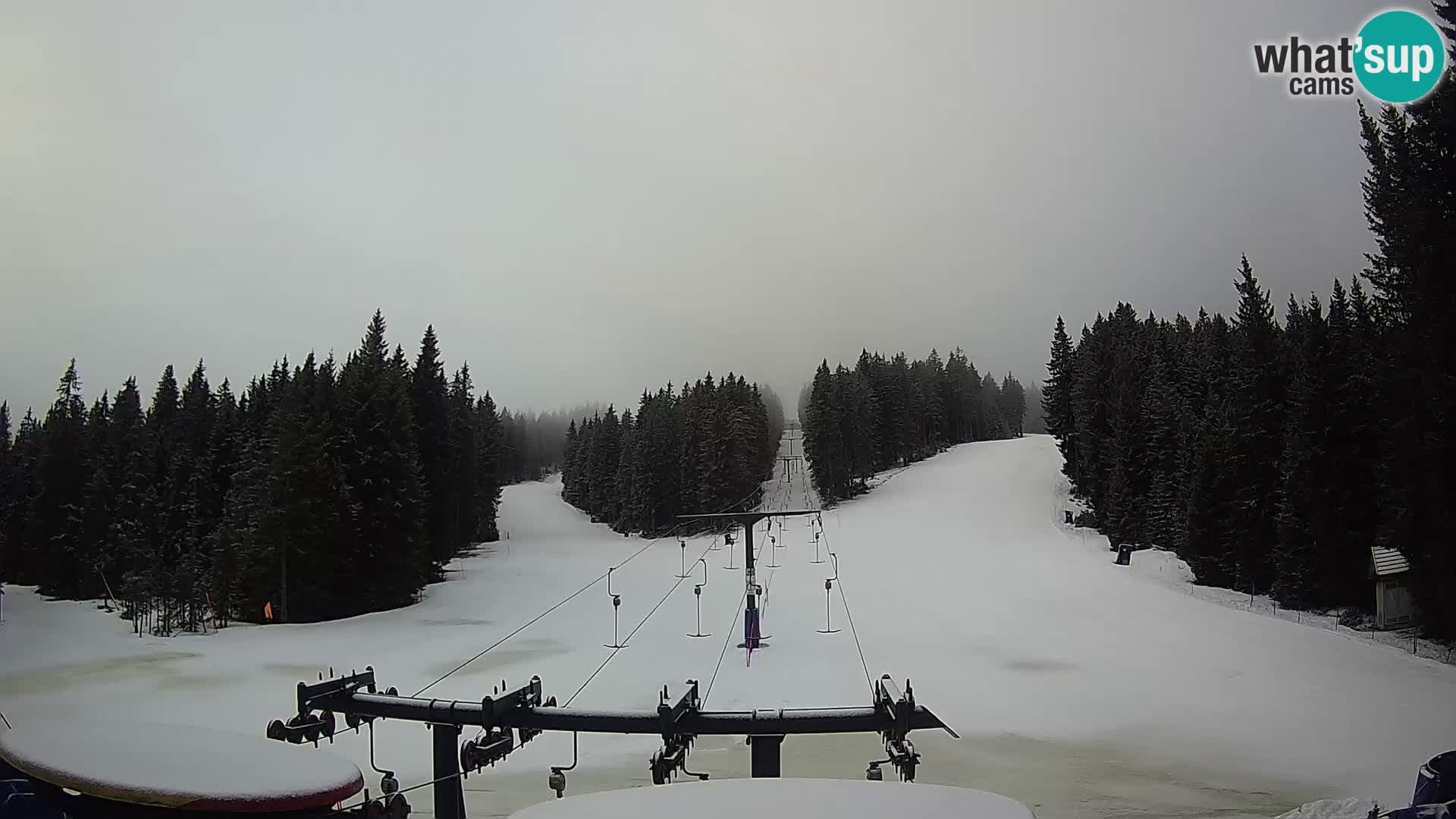 Station de ski Rogla Webcam Ostruščica pistes 1 et 2