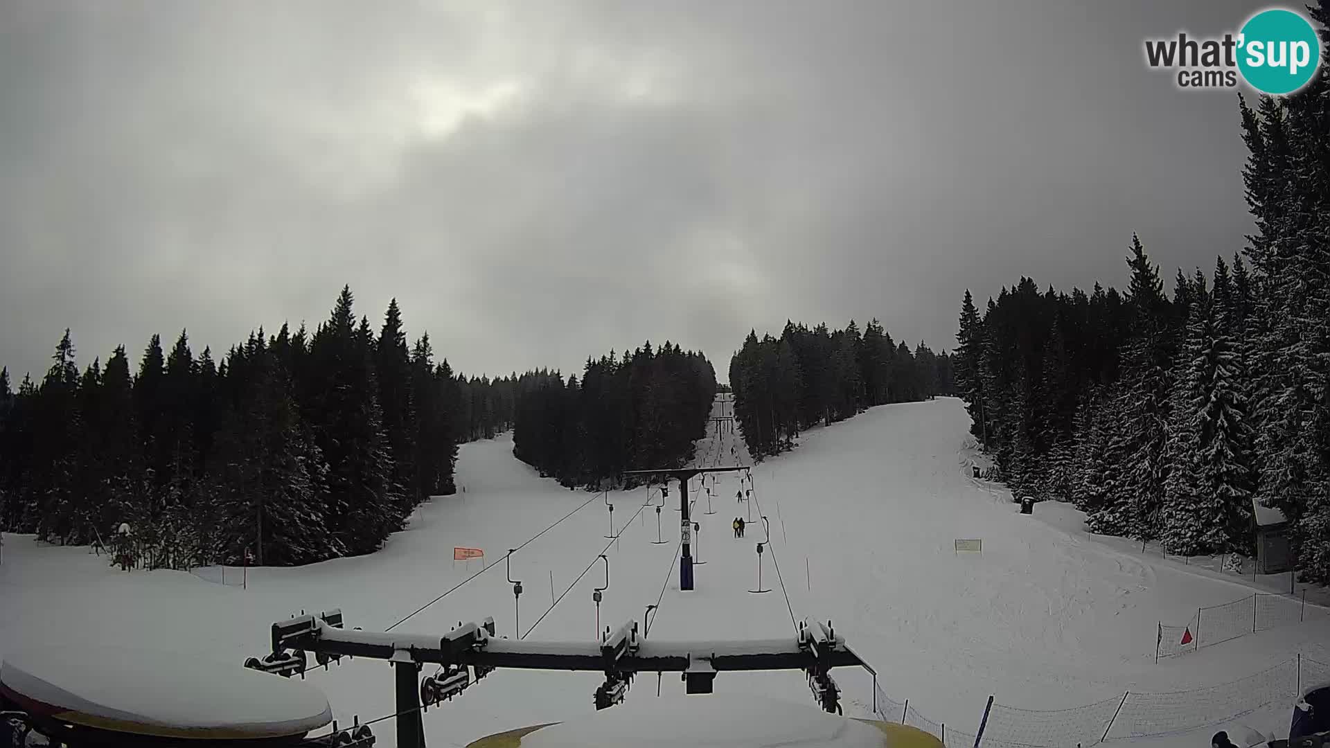 Station de ski Rogla Webcam Ostruščica pistes 1 et 2