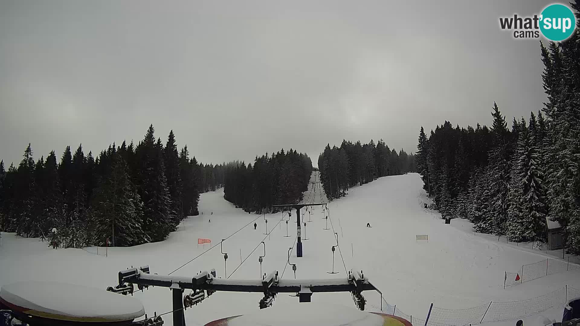 Skigebiet Rogla Webcam Ostruščica Piste 1 und 2