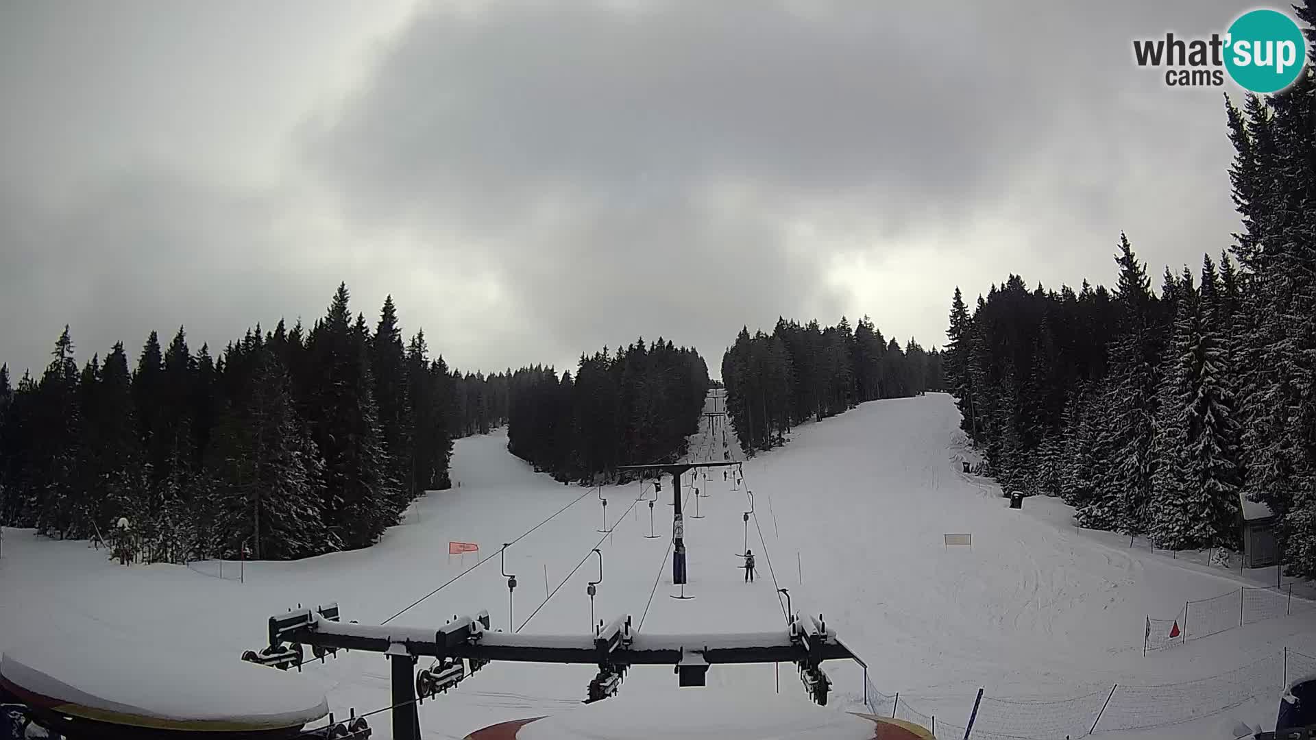 Webcam Live Rogla ski resort – Ostruščica