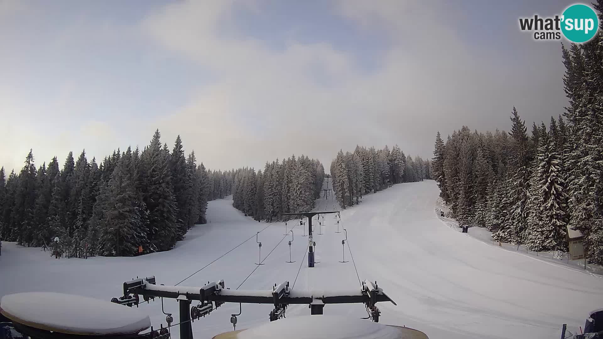 Station de ski Rogla Webcam Ostruščica pistes 1 et 2