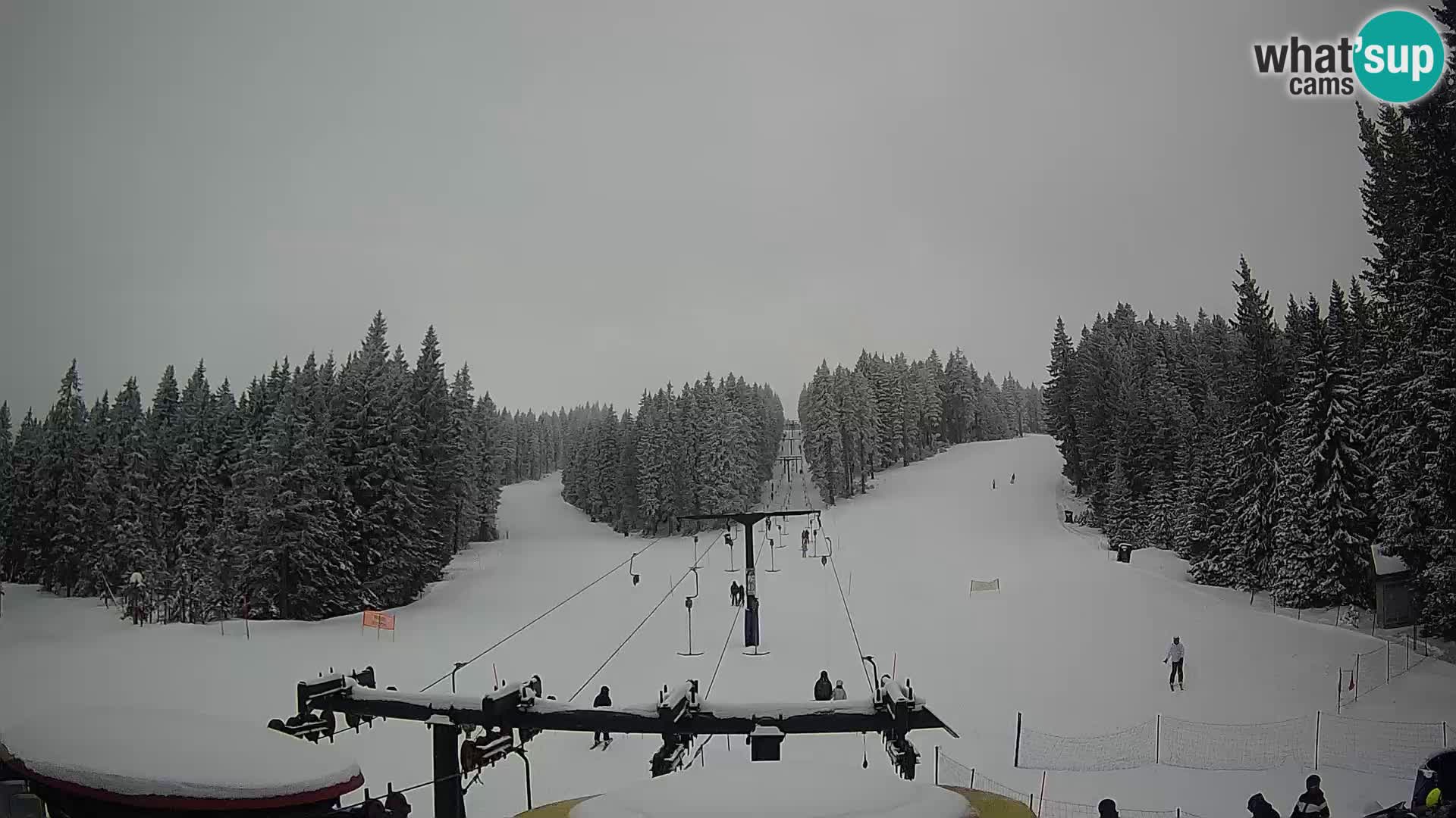 Webcam Live Rogla ski resort – Ostruščica