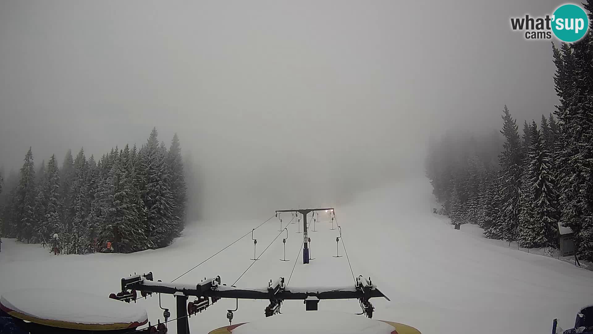 Estación de esquí Rogla Webcam Ostruščica pistas 1 y 2