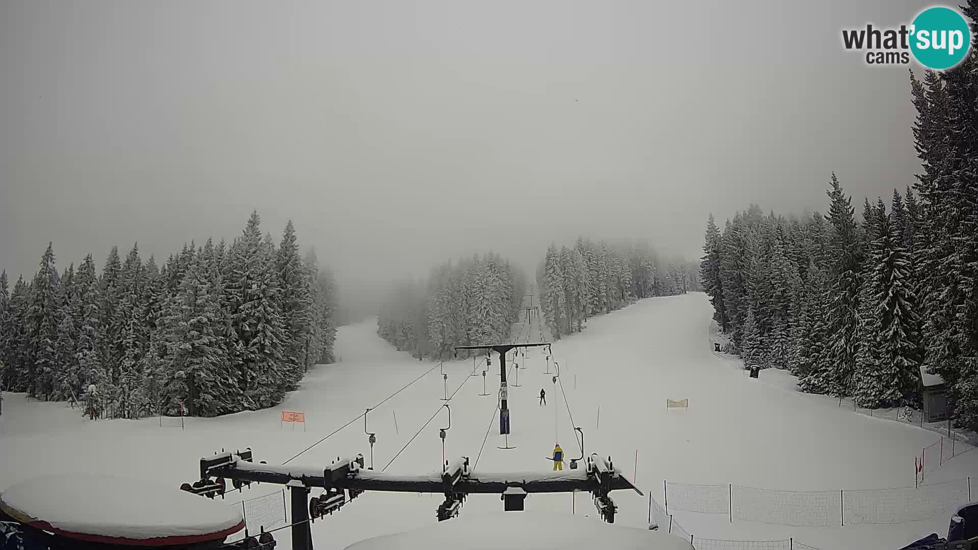 Webcam Live Rogla ski resort – Ostruščica