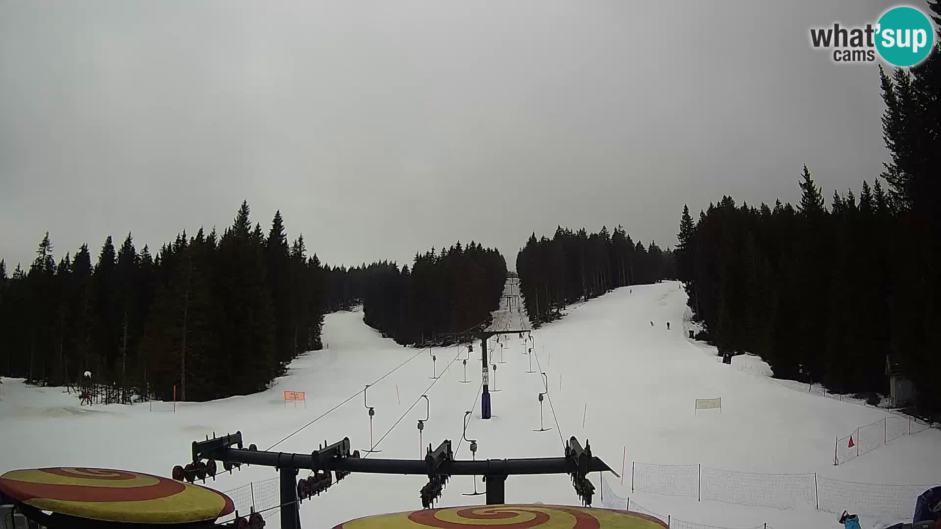 Station de ski Rogla Webcam Ostruščica pistes 1 et 2