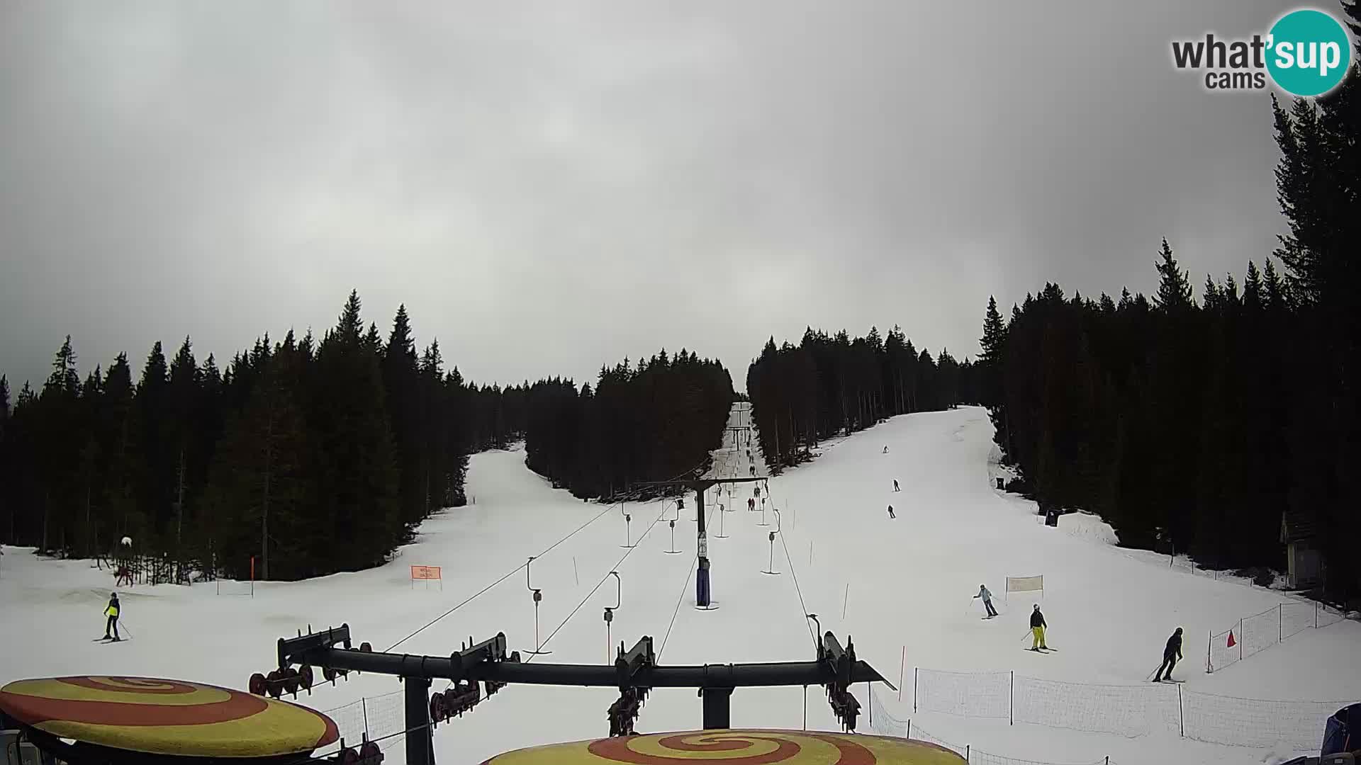 Comprensorio sciistico Rogla Webcam live Ostruščica piste 1 e 2