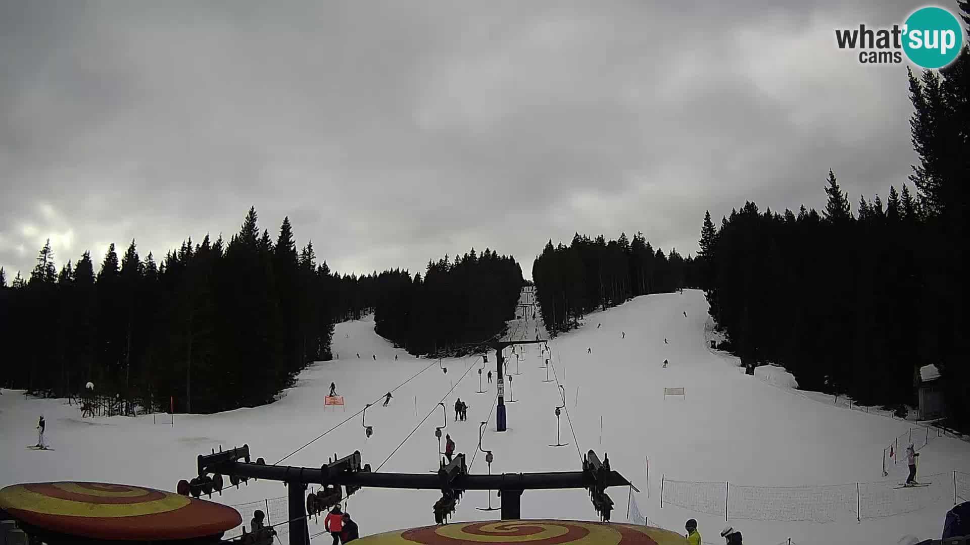 Comprensorio sciistico Rogla Webcam live Ostruščica piste 1 e 2