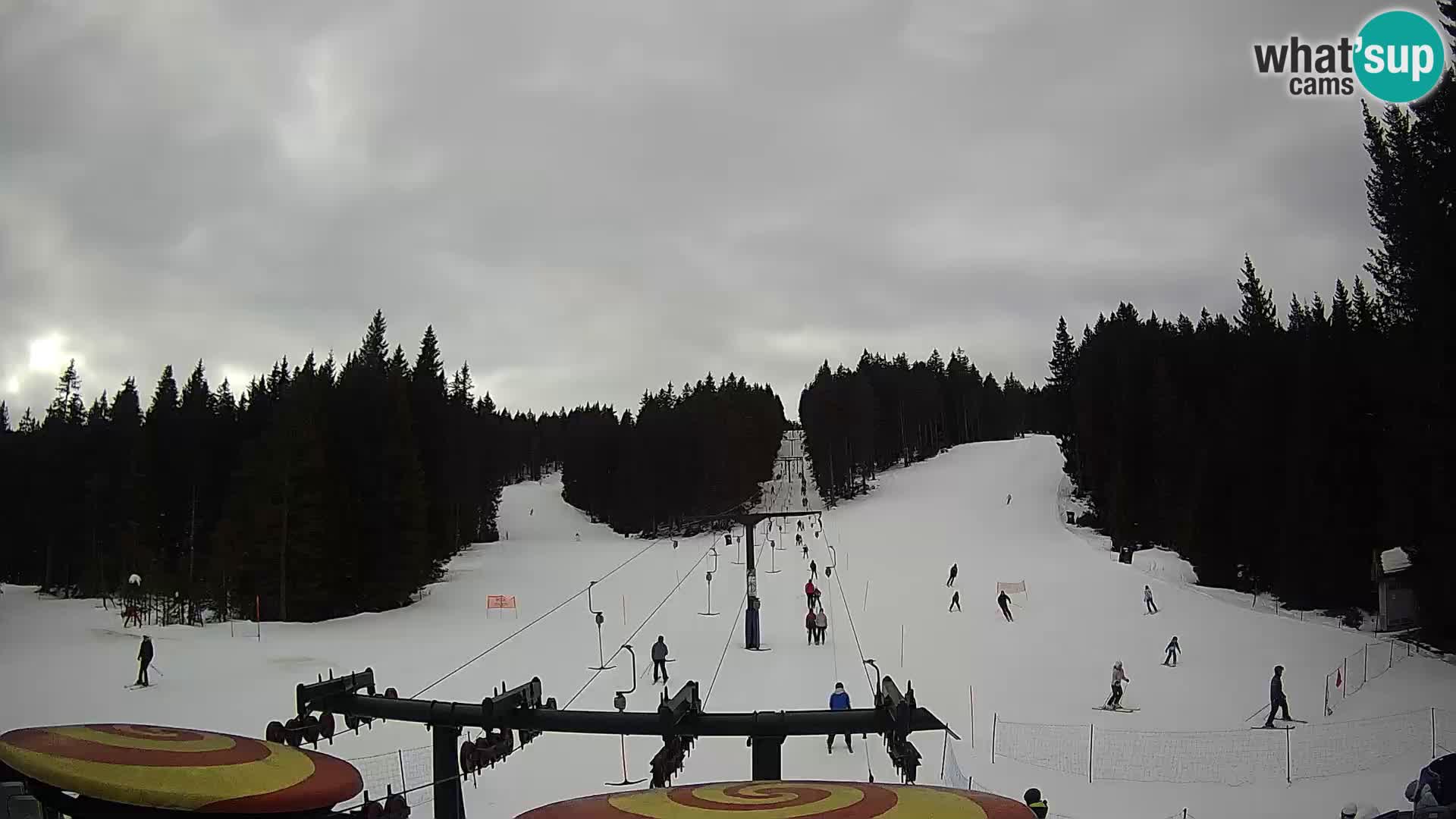 Comprensorio sciistico Rogla Webcam live Ostruščica piste 1 e 2