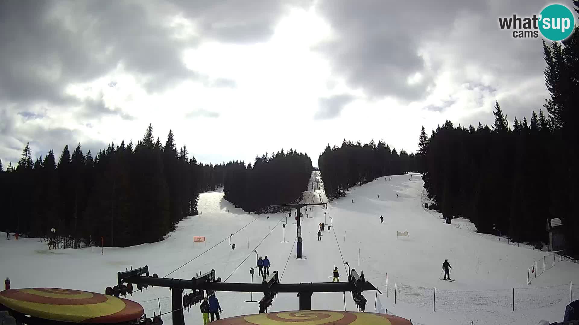 Webcam Live Rogla ski resort – Ostruščica