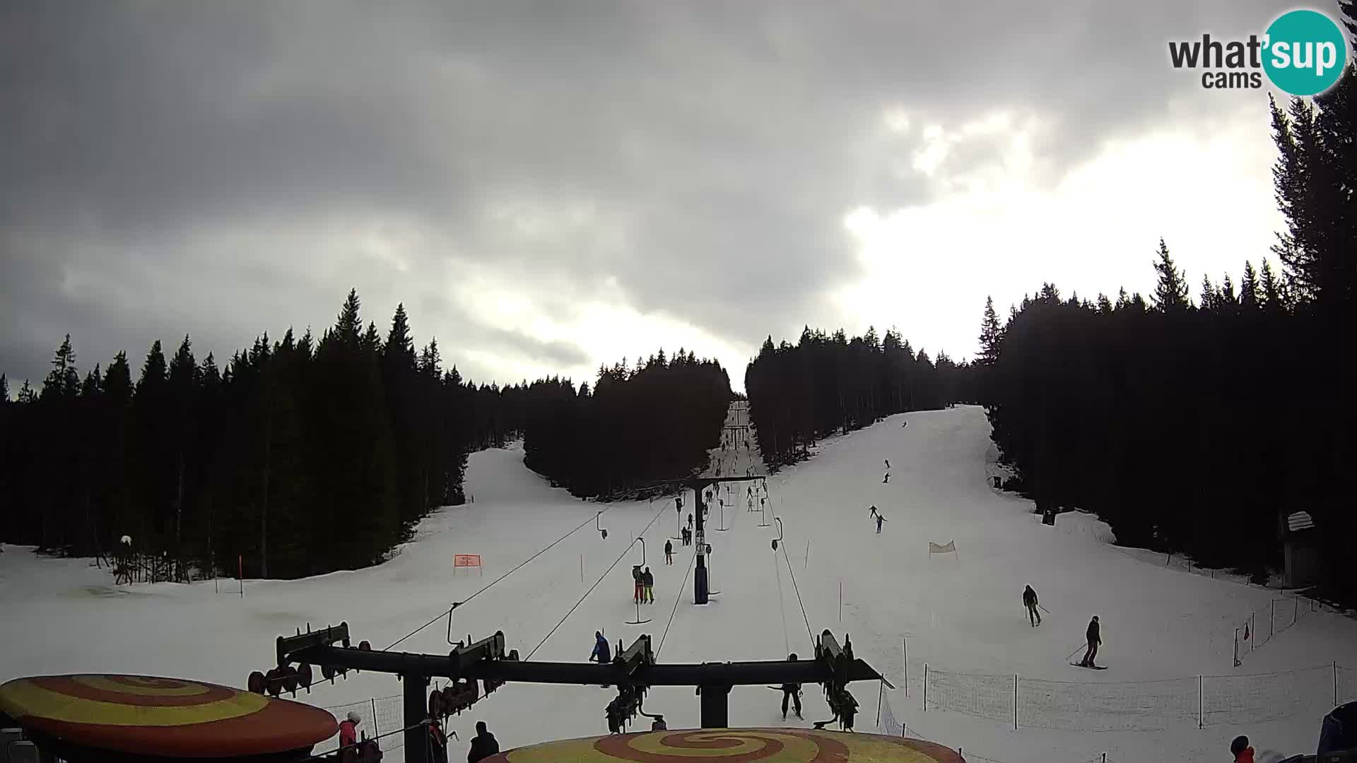 Comprensorio sciistico Rogla Webcam live Ostruščica piste 1 e 2