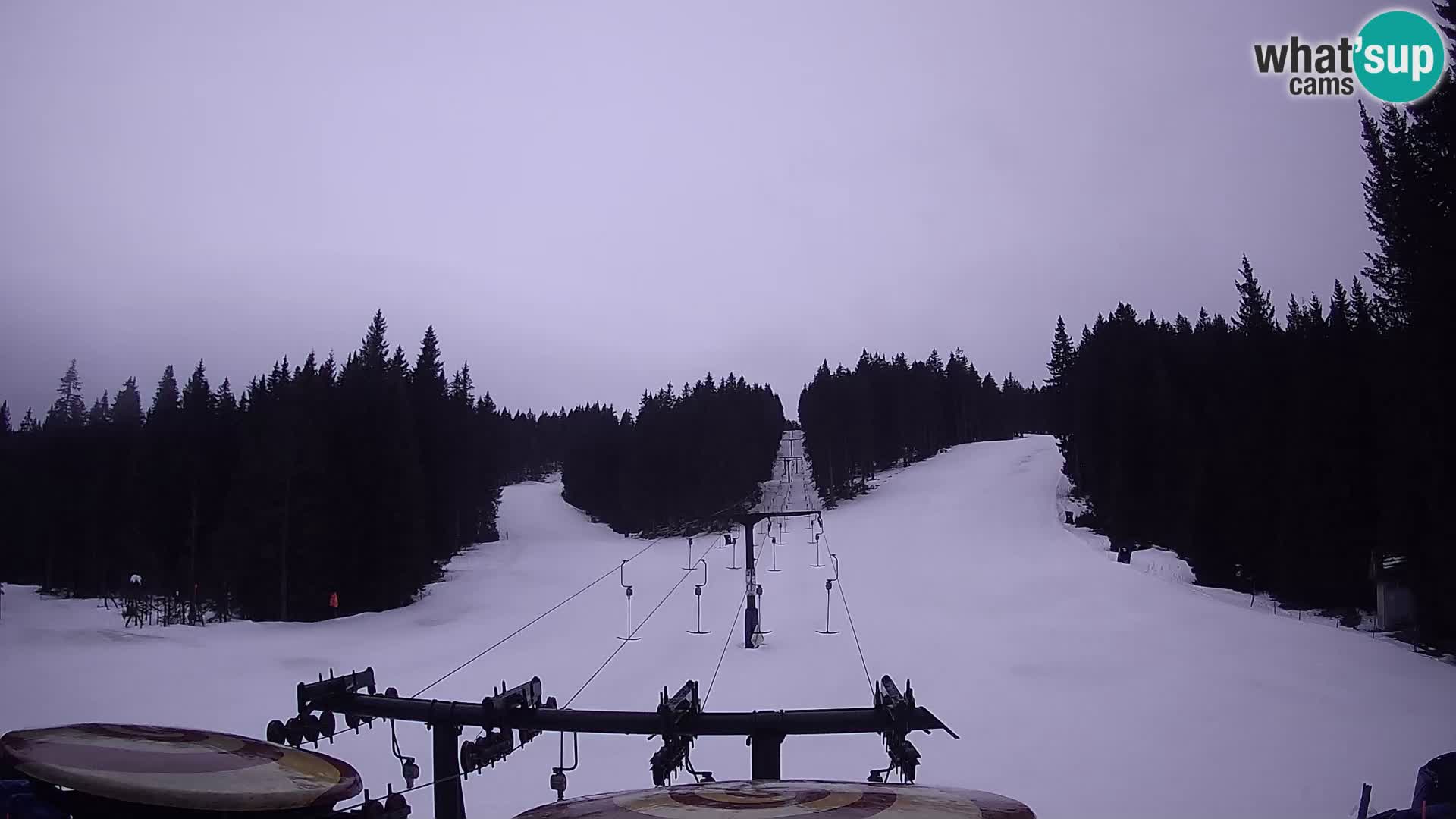 Webcam Live Rogla ski resort – Ostruščica